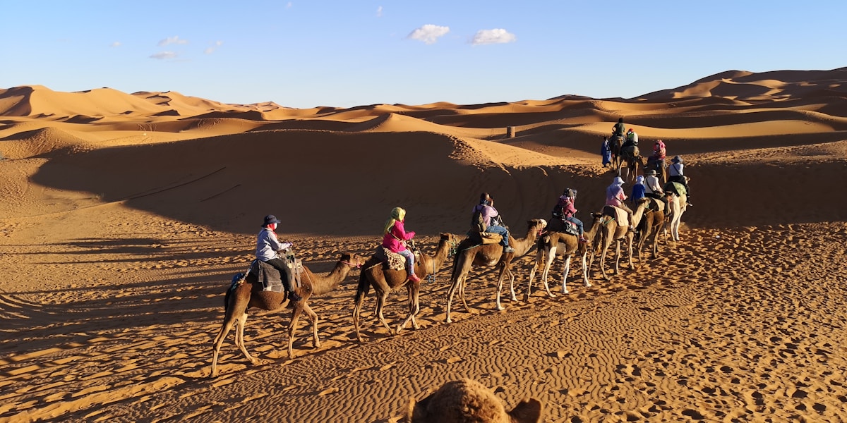 Merzouga Sahara desert - camel trek at sunset over dunes
