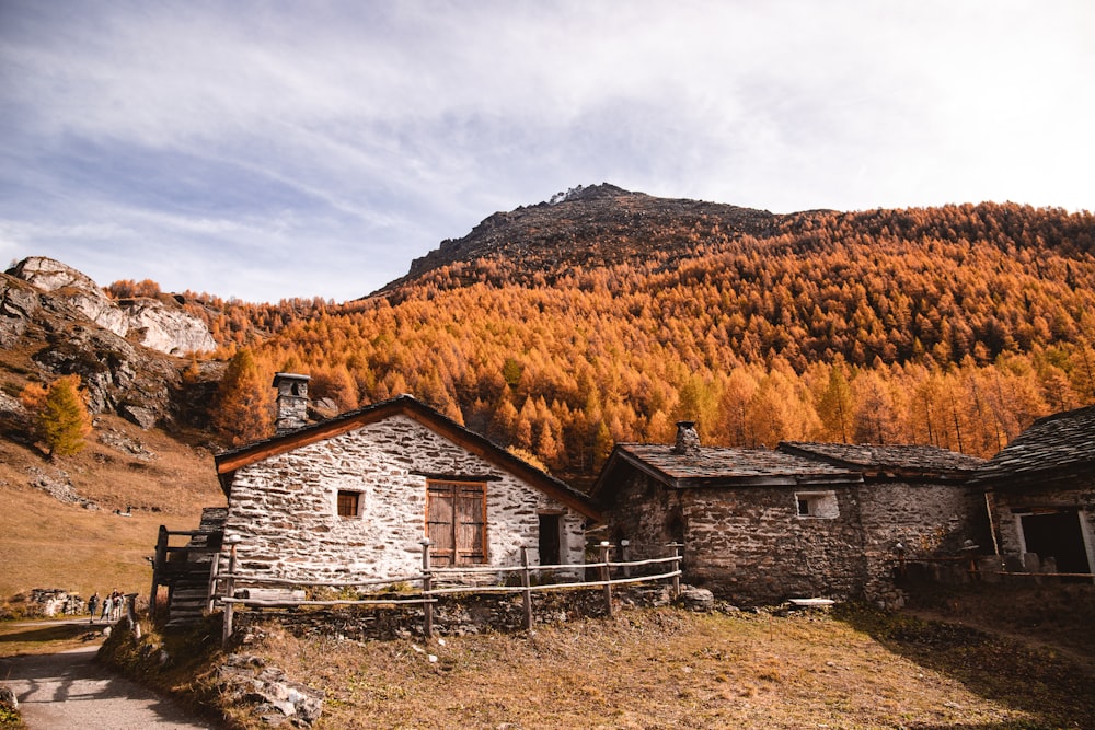 white and brown house near brown trees under white clouds during daytime