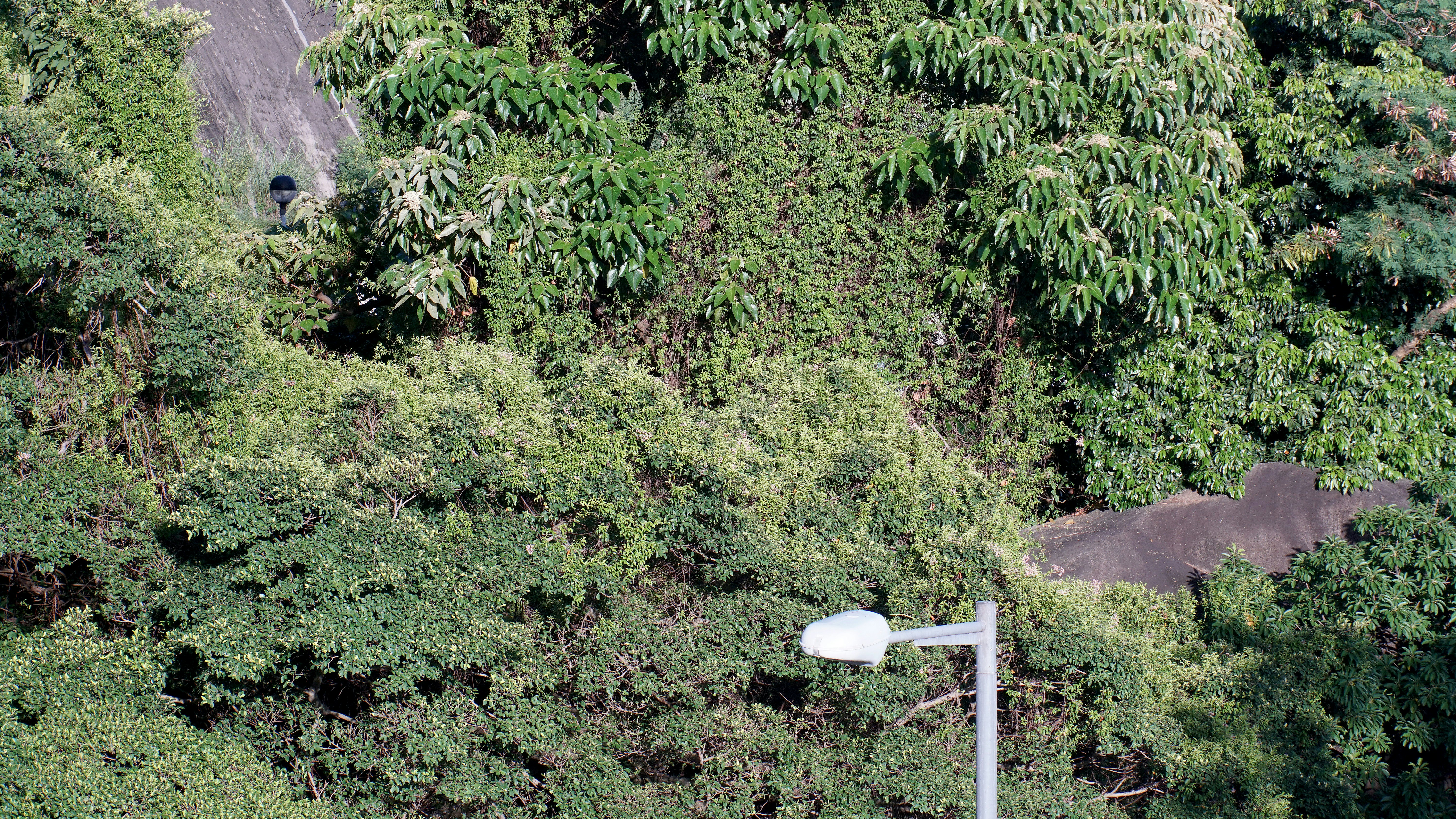 Photo by thomaskinto