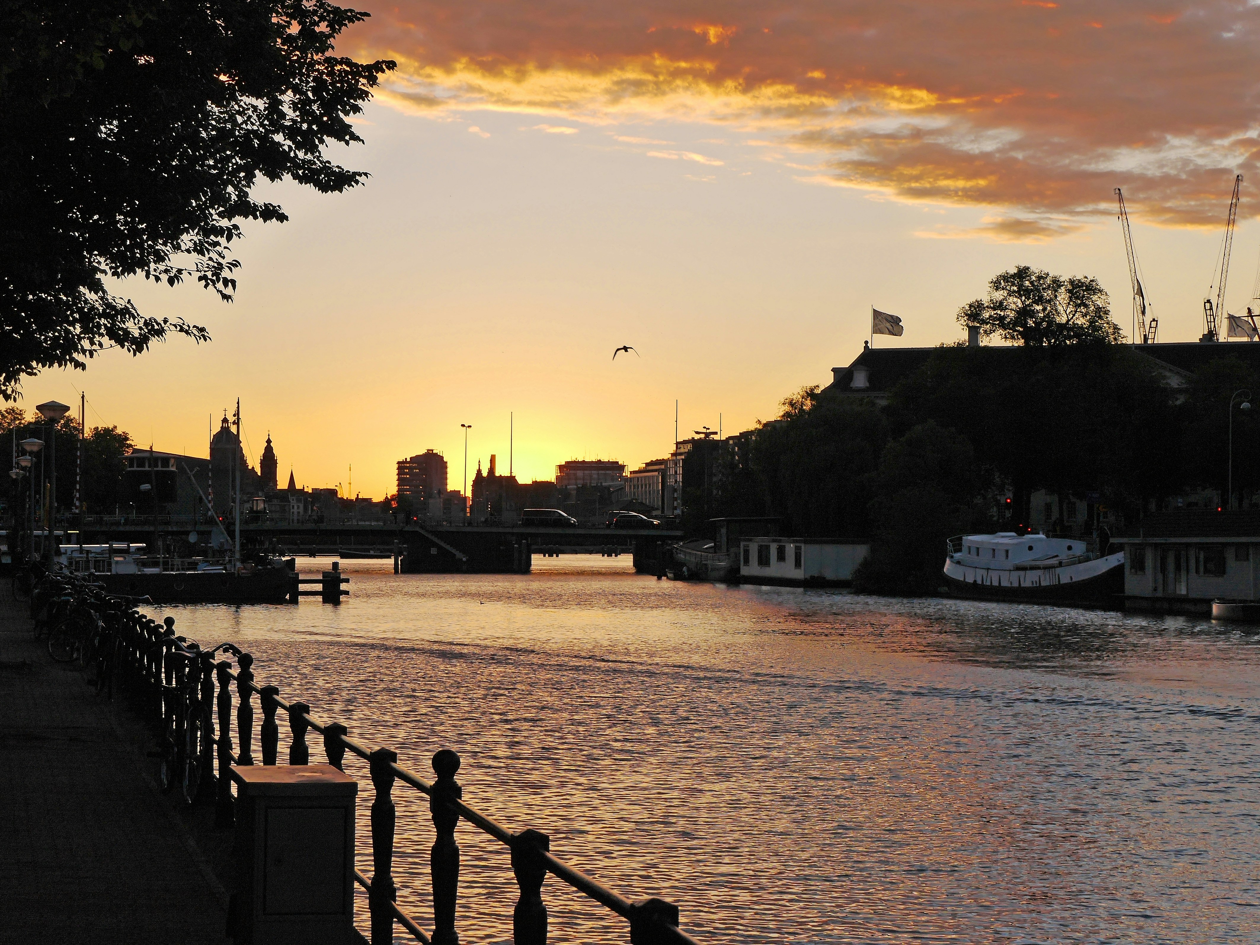 Photo by fonsheijnsbroek_amsterdam_photos