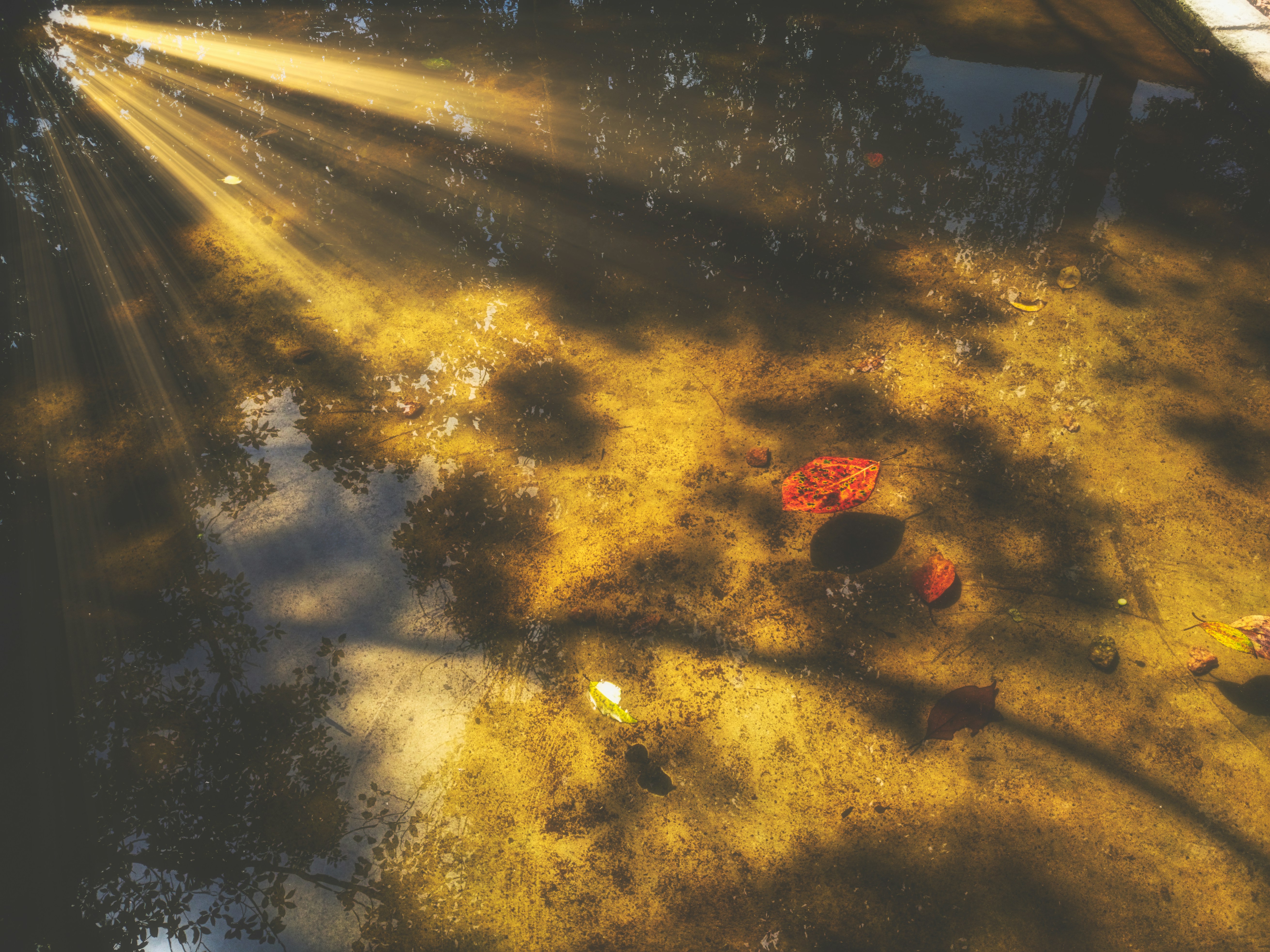 Photo by thomaskinto