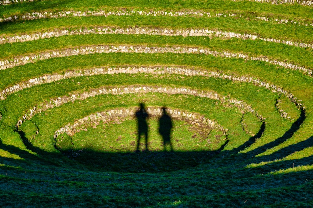 2 person walking on green grass field during daytime