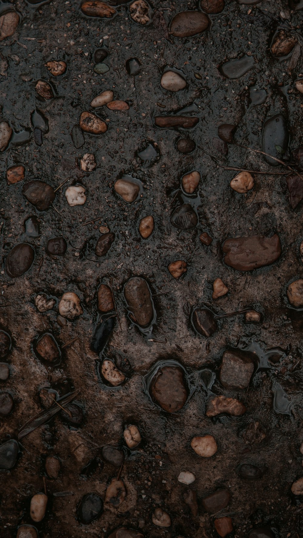 brown and black stones on ground