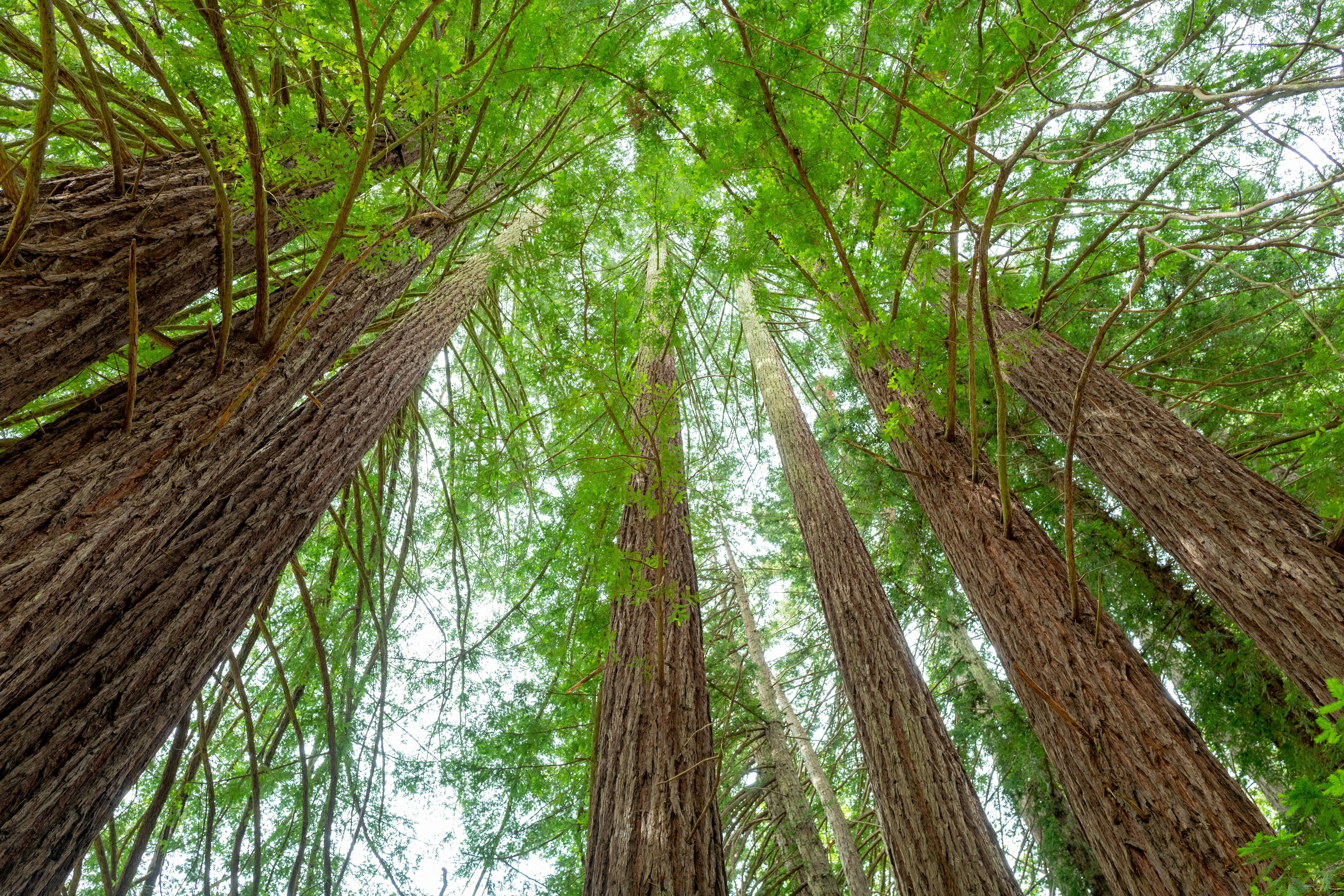 Photo by gado_images