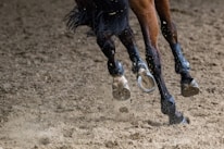 Close-up of a horse mid-race, showcasing power and speed at a Brazilian track.