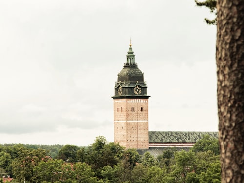 Svenska kyrkan i nöd och nåd