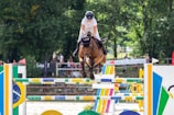 man riding brown horse during daytime