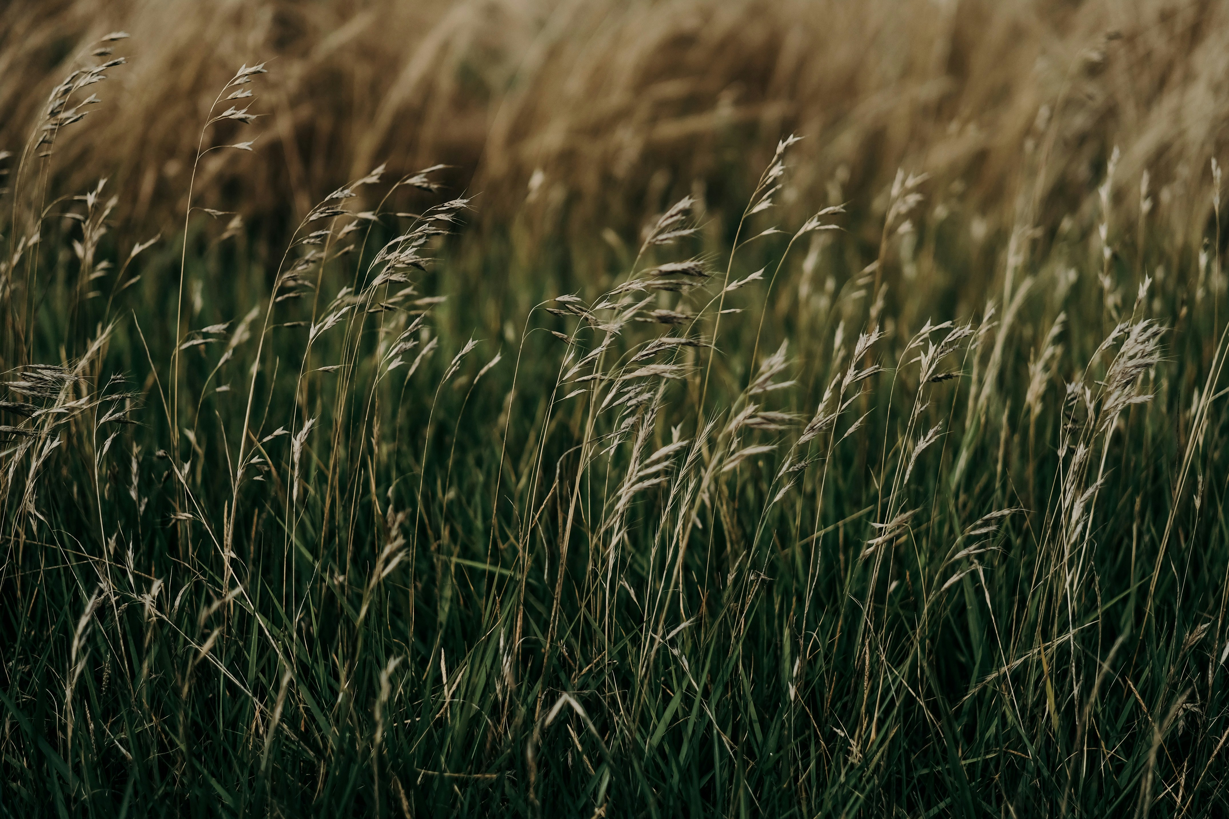 Photo by insungpandora