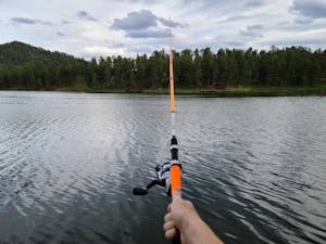 Cascade Fishing Rod