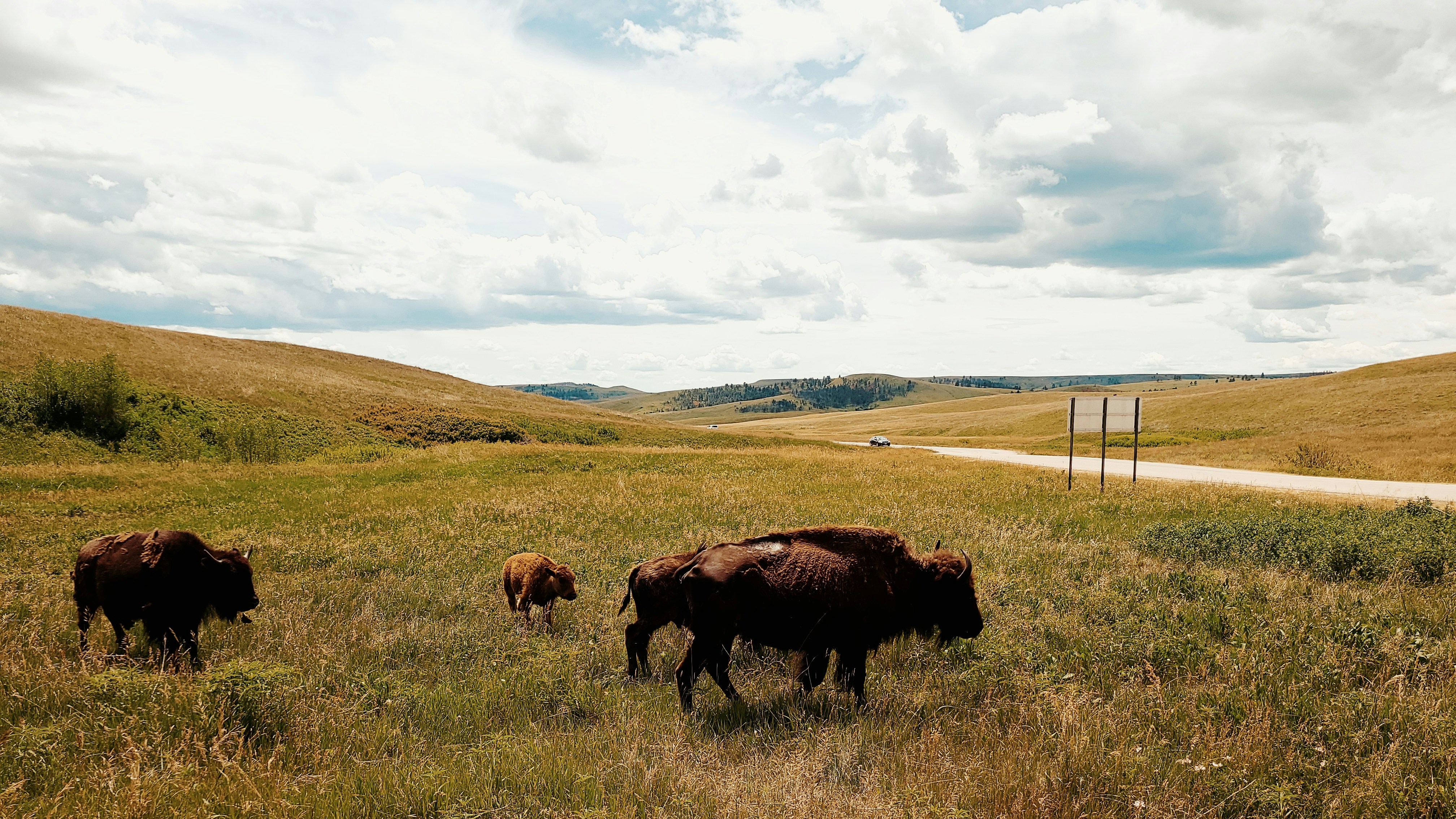 Photo by matthewosborn