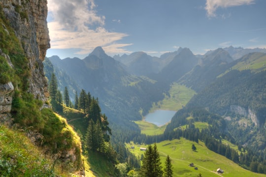 green trees on mountain under blue sky during daytime in Sämtisersee Switzerland