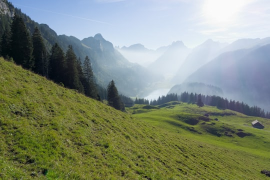 green grass field and trees during daytime in Hoher Kasten Switzerland
