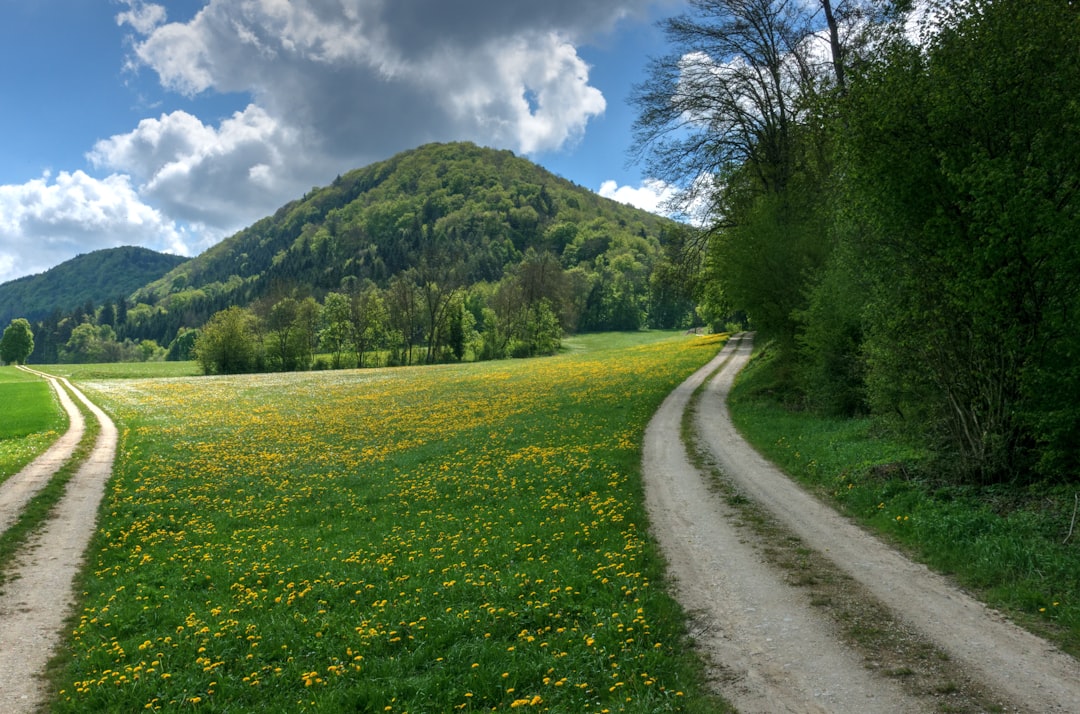 Hill photo spot Bad Osterfingen Waldkirch