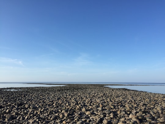 black and brown pebbles on beach shore under blue sky during daytime in Minehead United Kingdom