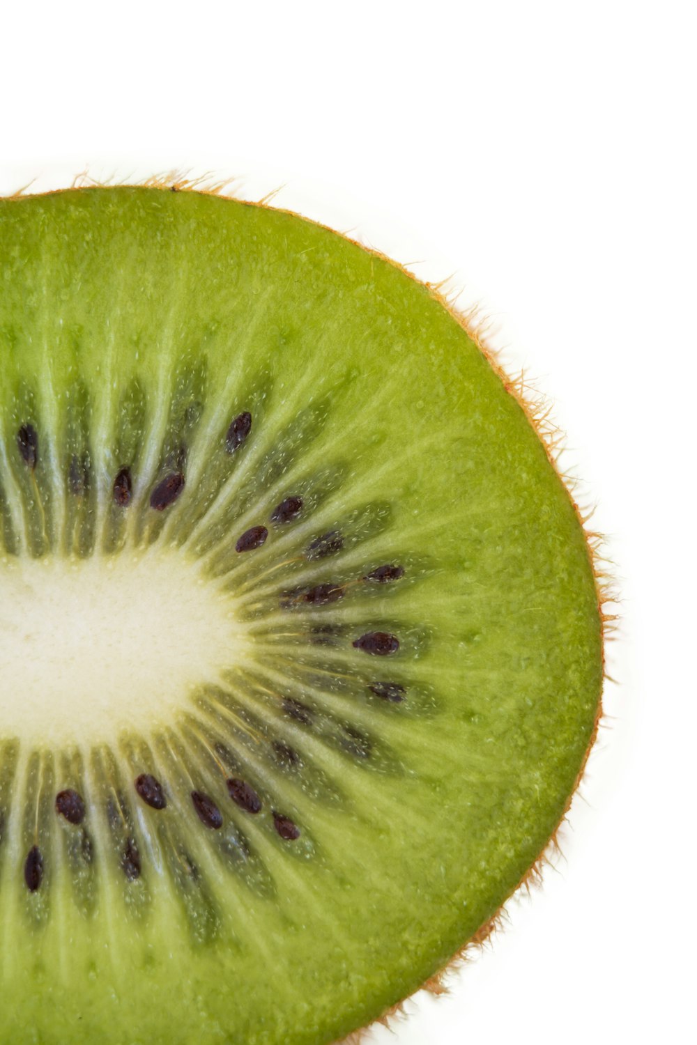 sliced watermelon with white background