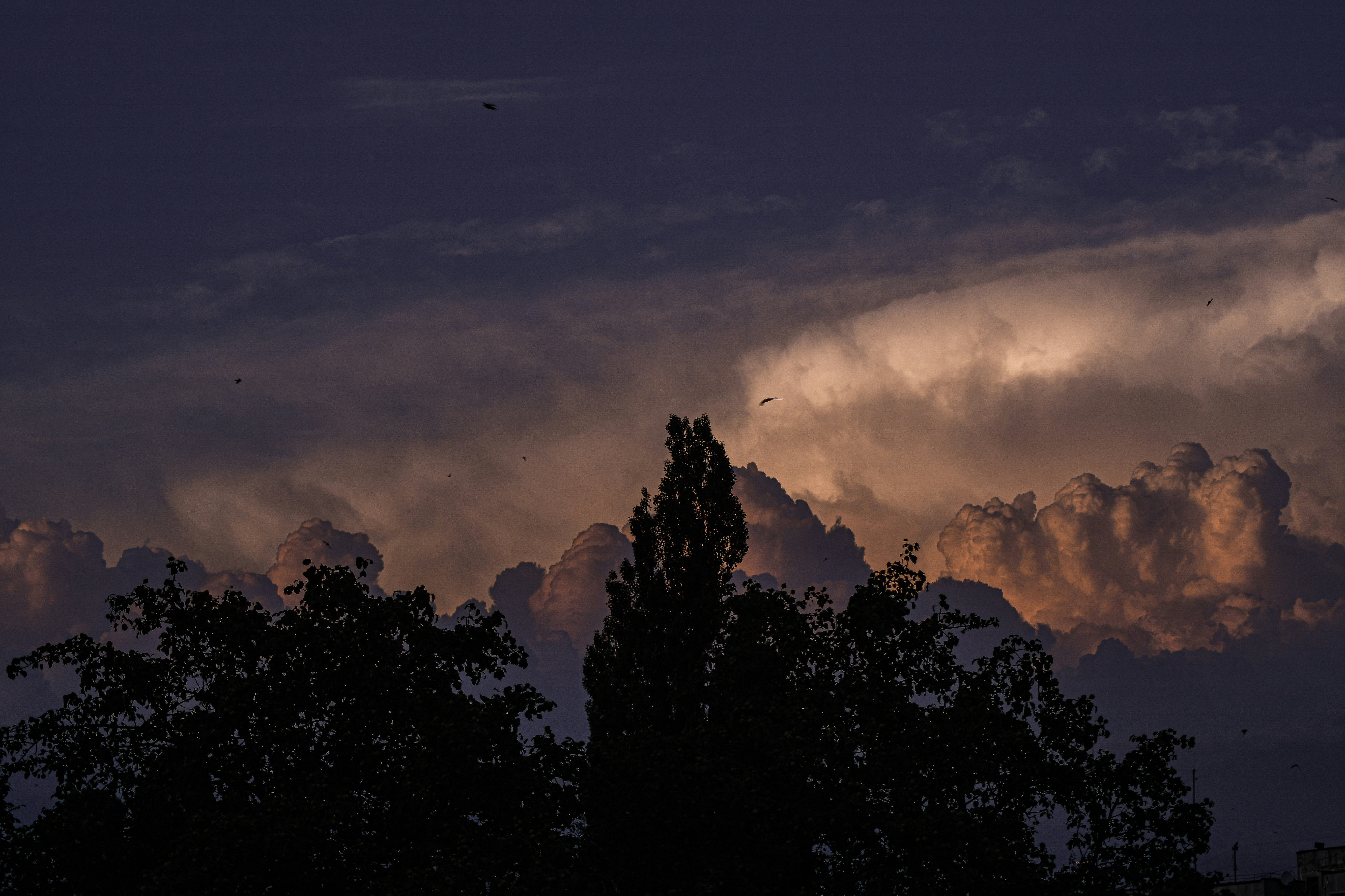 Photo by raspopovamarisha