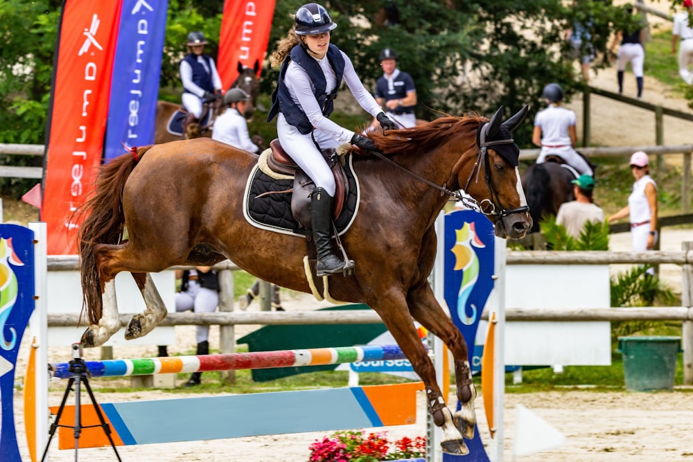 man in blue and white long sleeve shirt riding brown horse during daytime