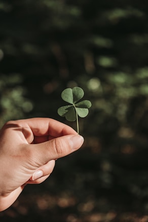 A hand is gently holding a small, green, three-leaf clover against a blurred, dark green background.