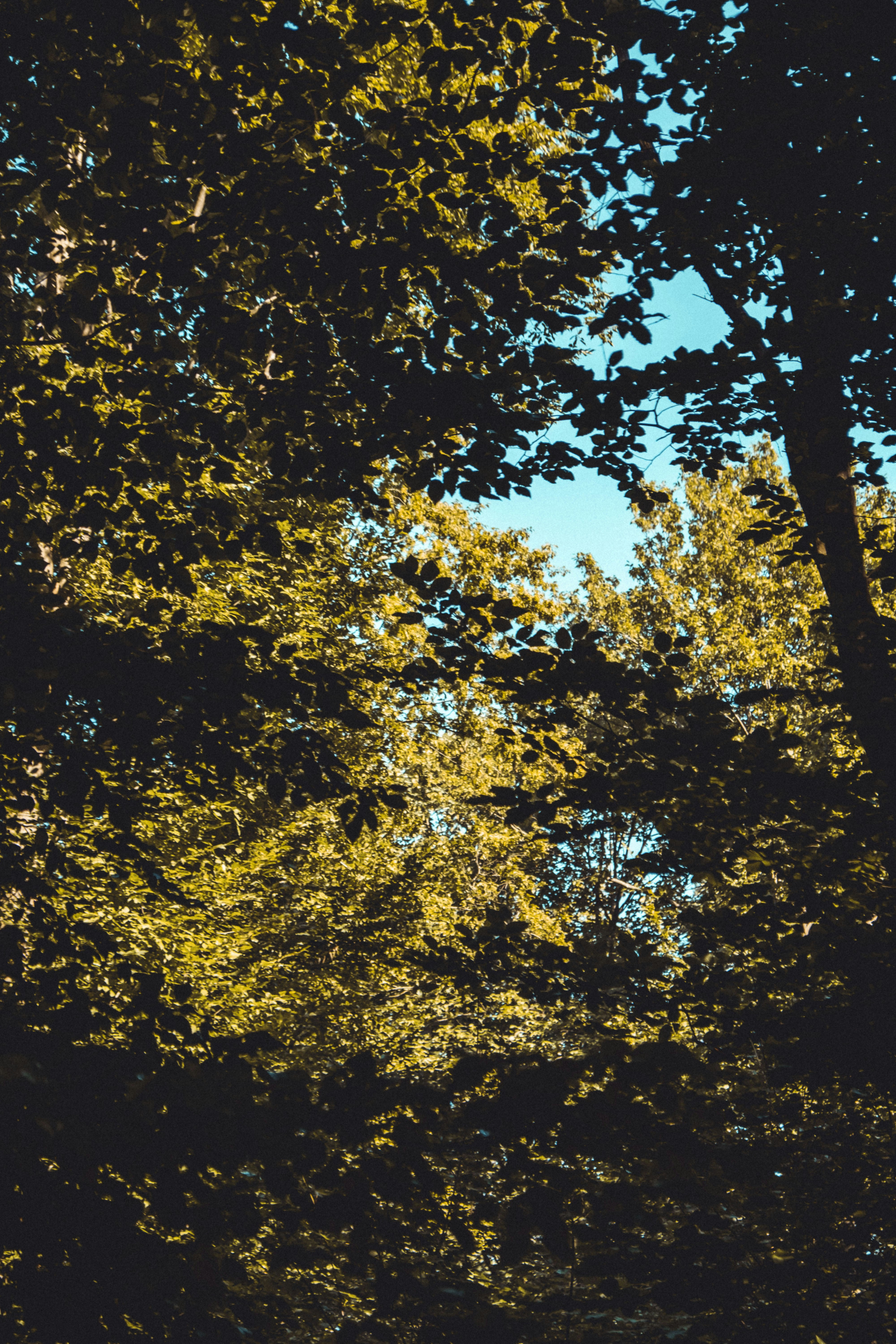 Photo by moritz_photography