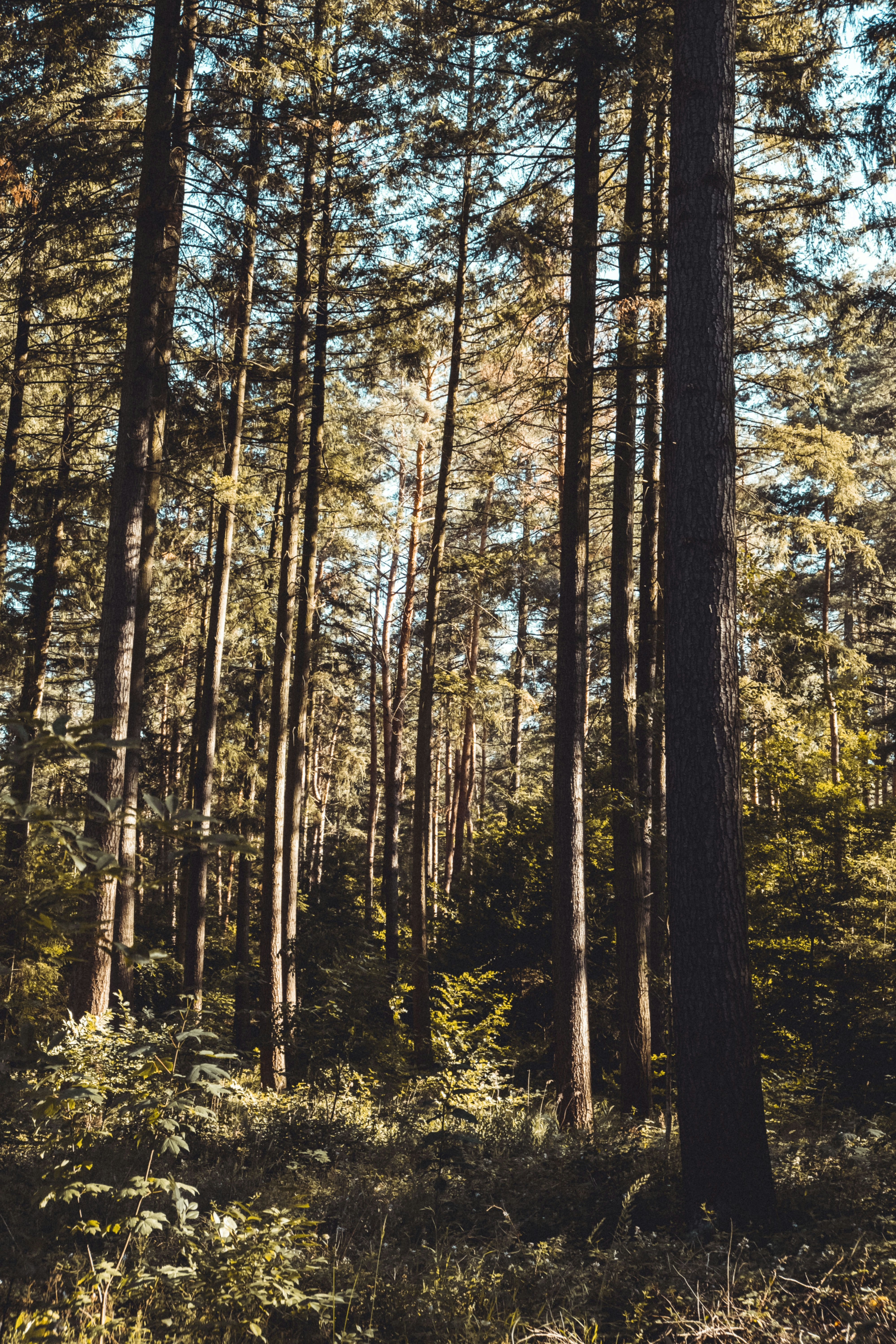 Photo by moritz_photography