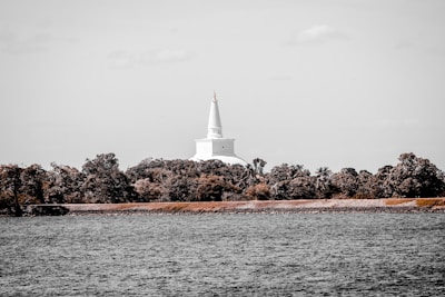 white lighthouse on brown rock formation near body of water during daytime