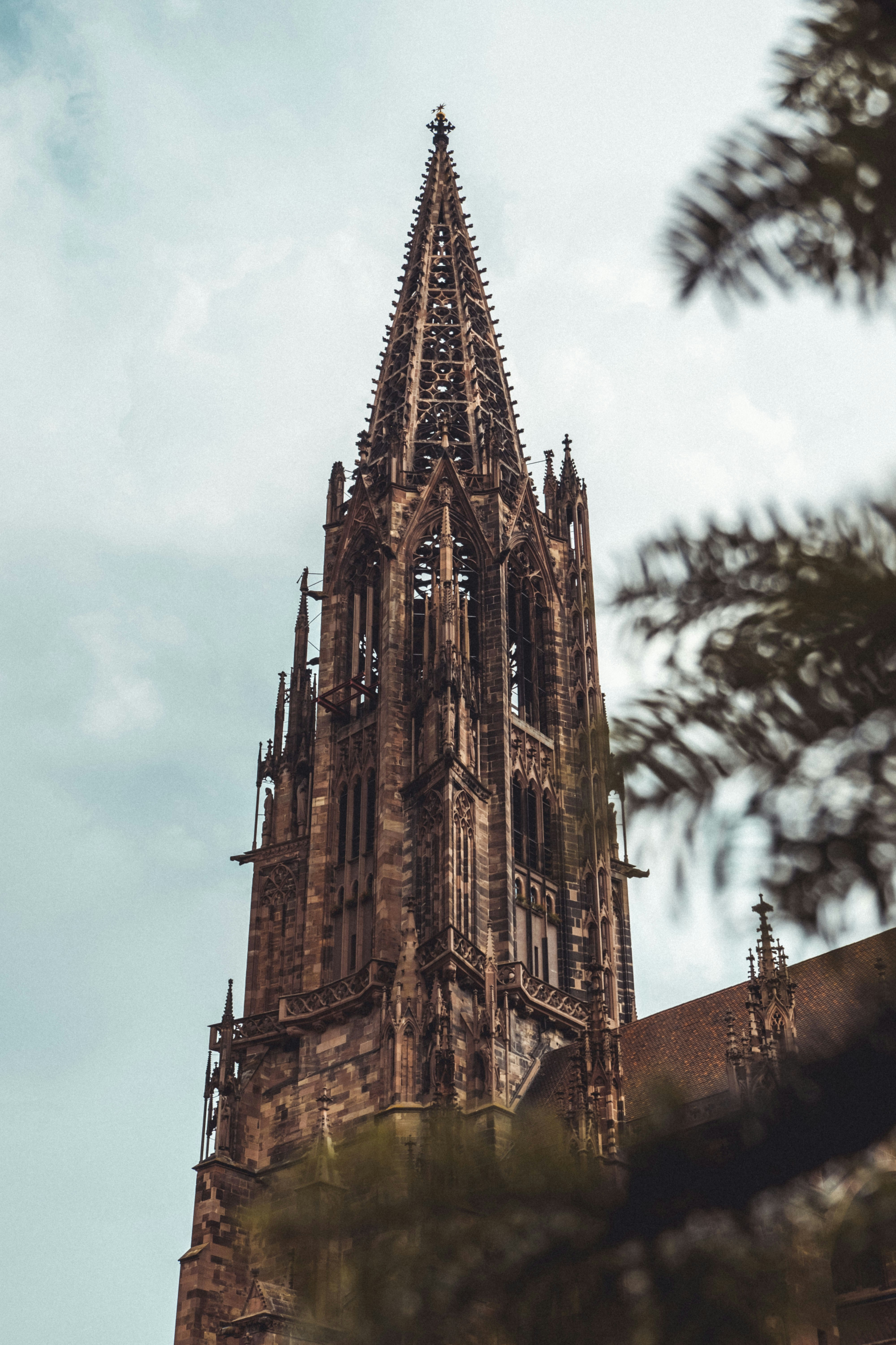 Photo by moritz_photography