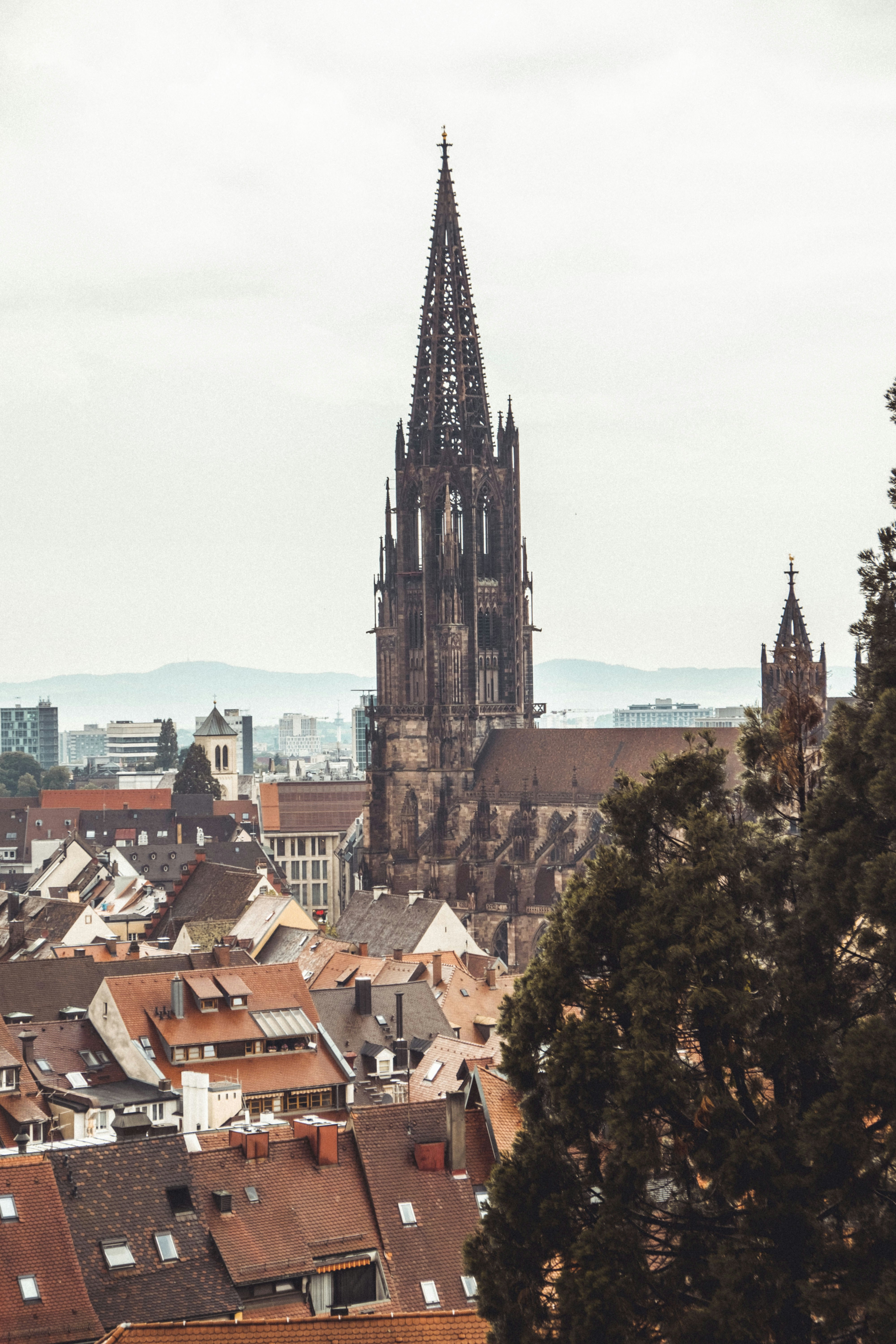 Photo by moritz_photography