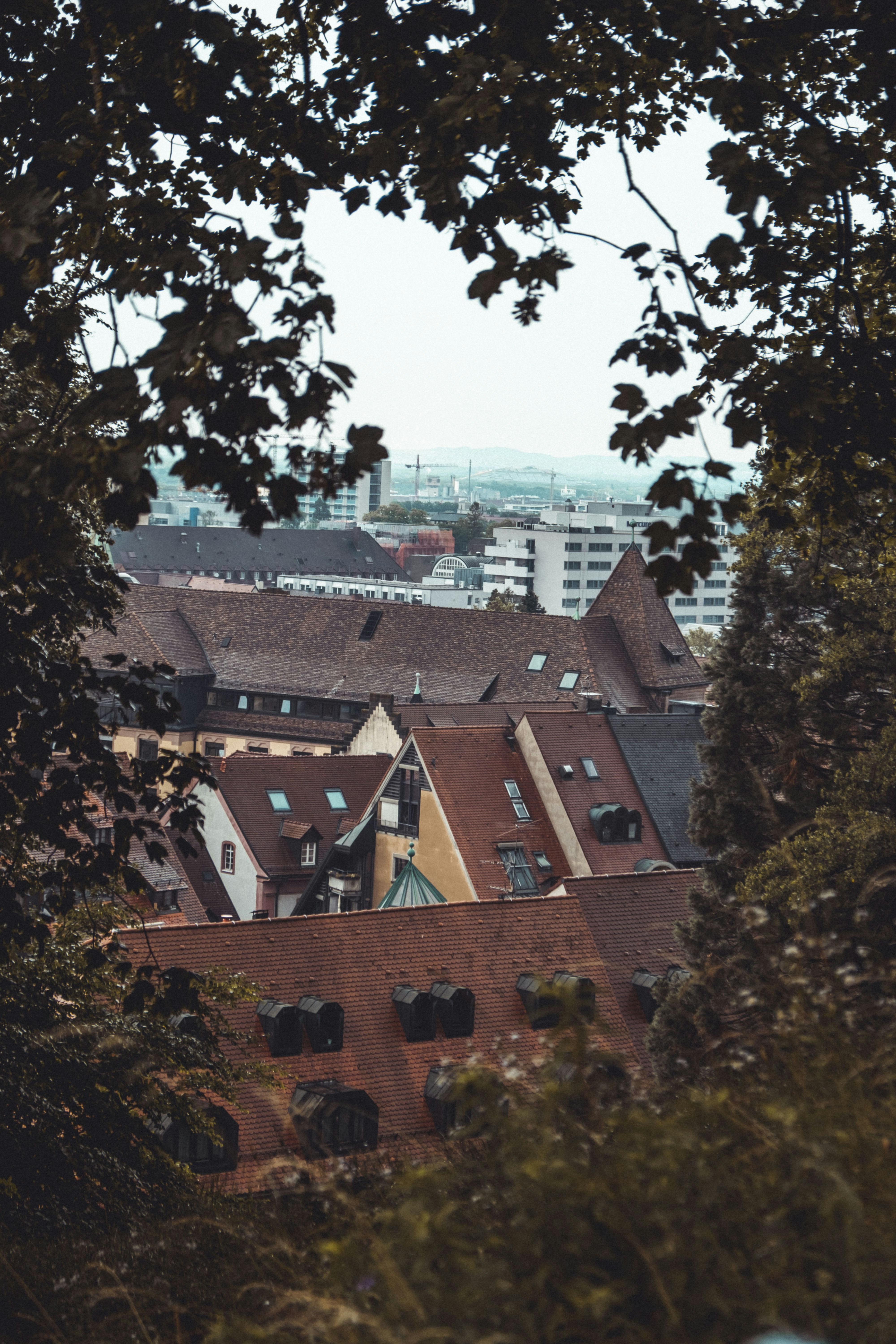 Photo by moritz_photography