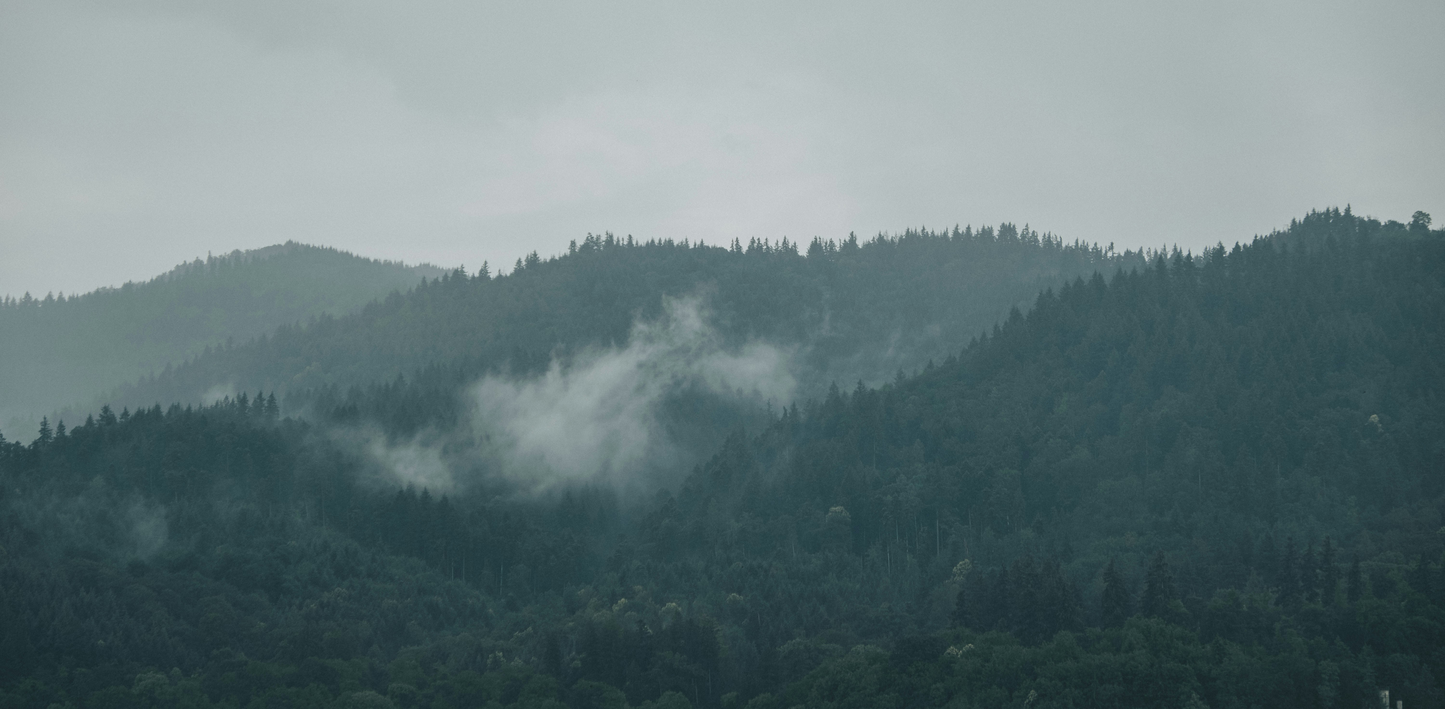 Photo by moritz_photography