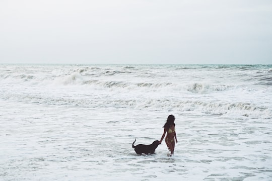 woman in black dress holding black labrador retriever on beach during daytime in Palomino Colombia