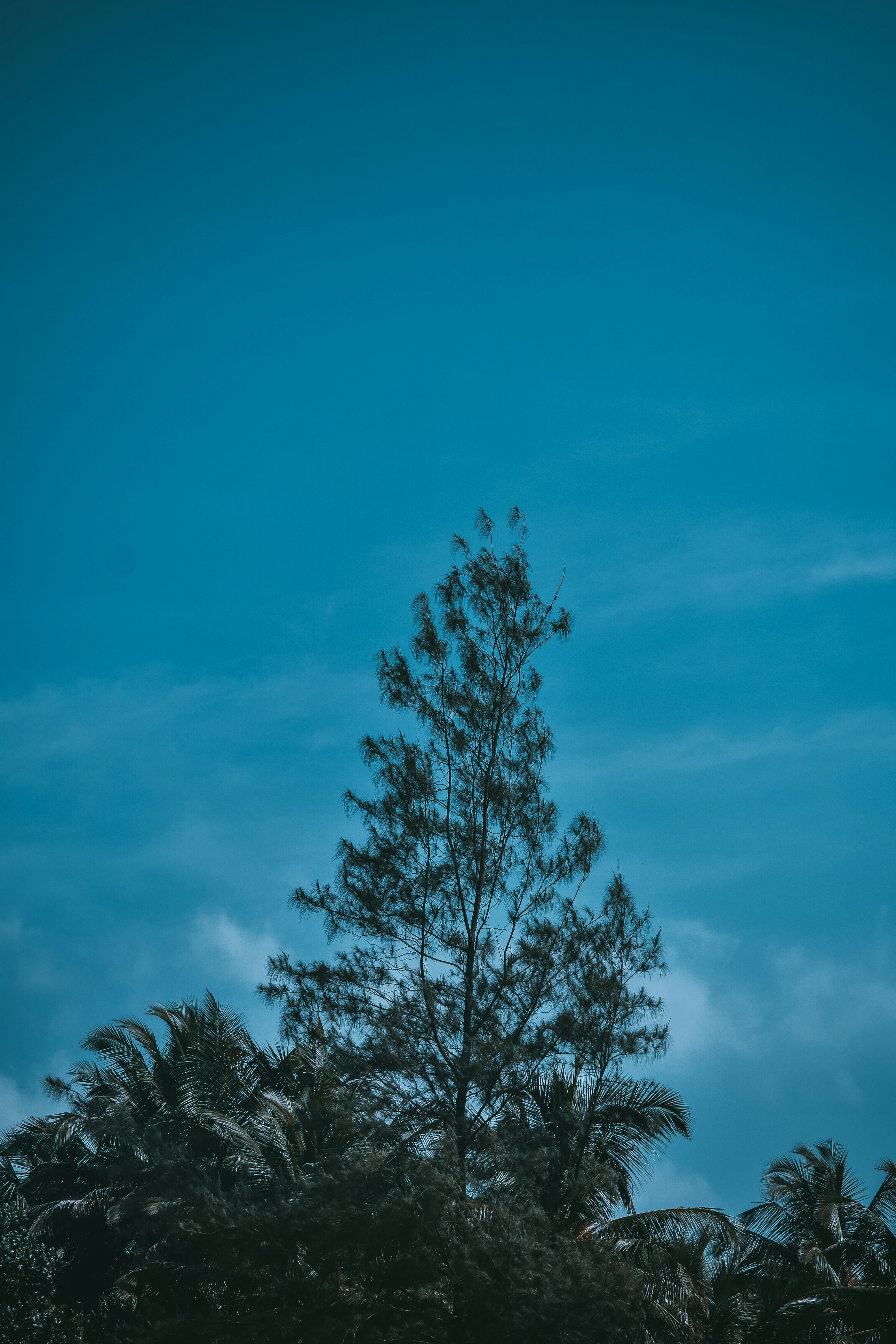 Photo by viveksxr