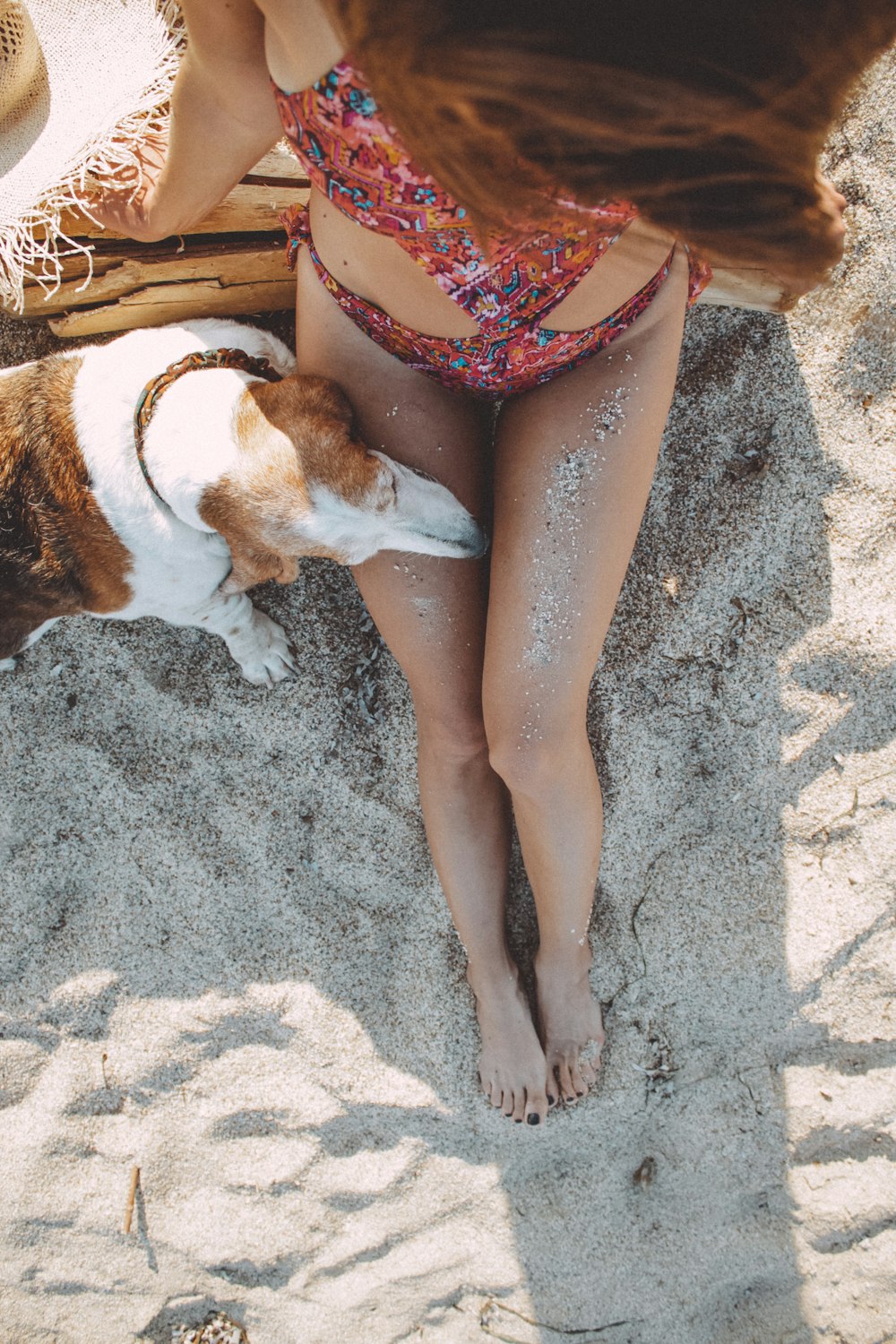 woman in pink and white bikini lying on sand beside brown and white short coated dog