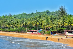 people on beach during daytime