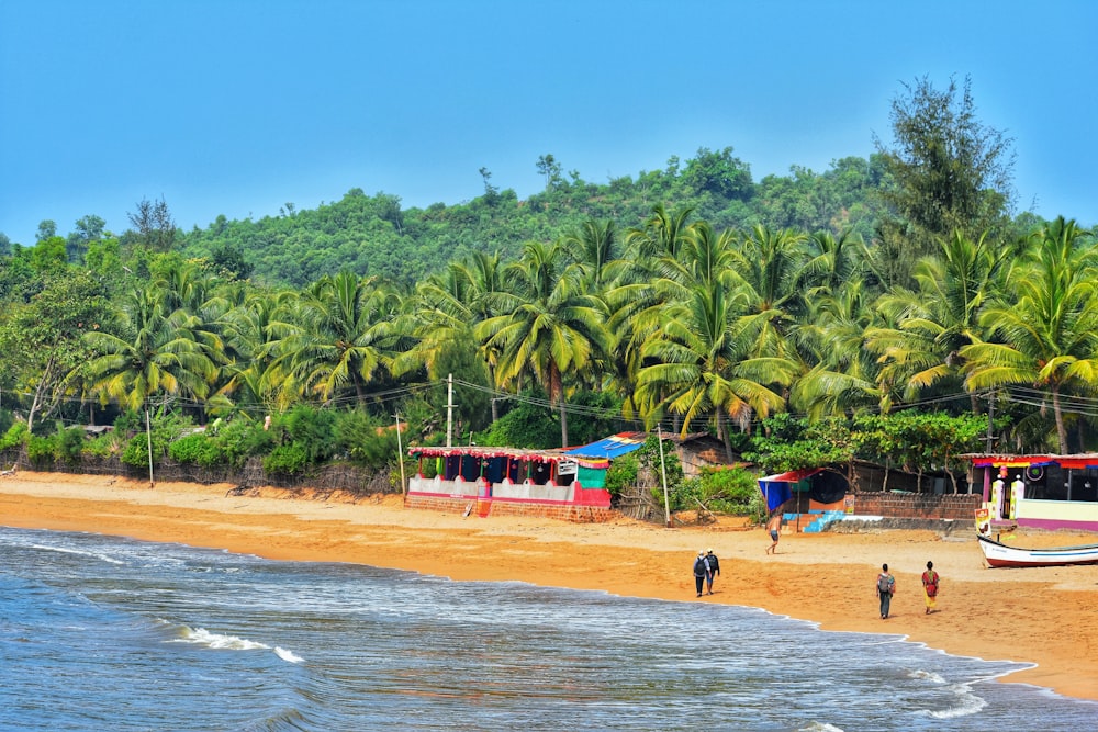 people on beach during daytime