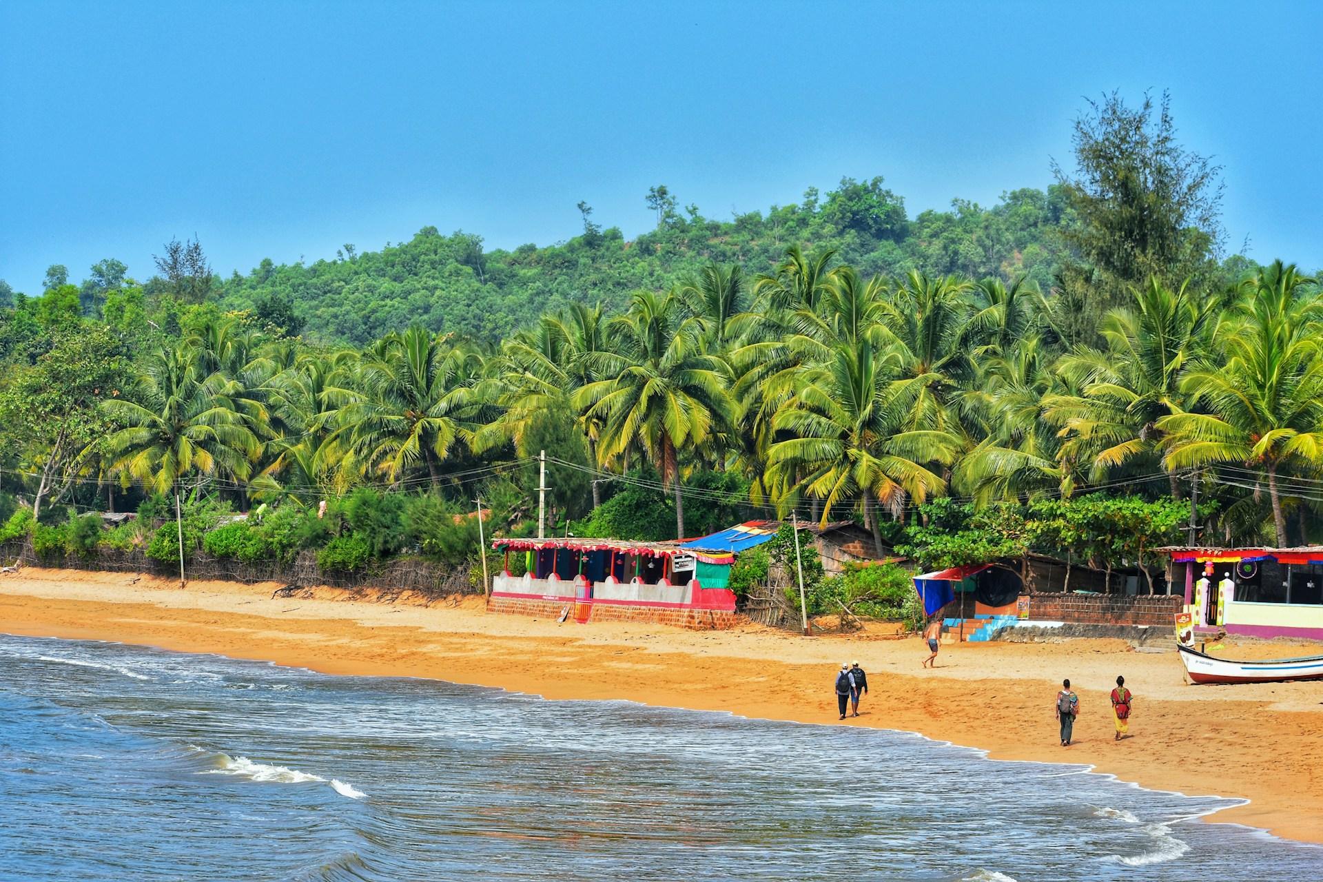 people on beach during daytime