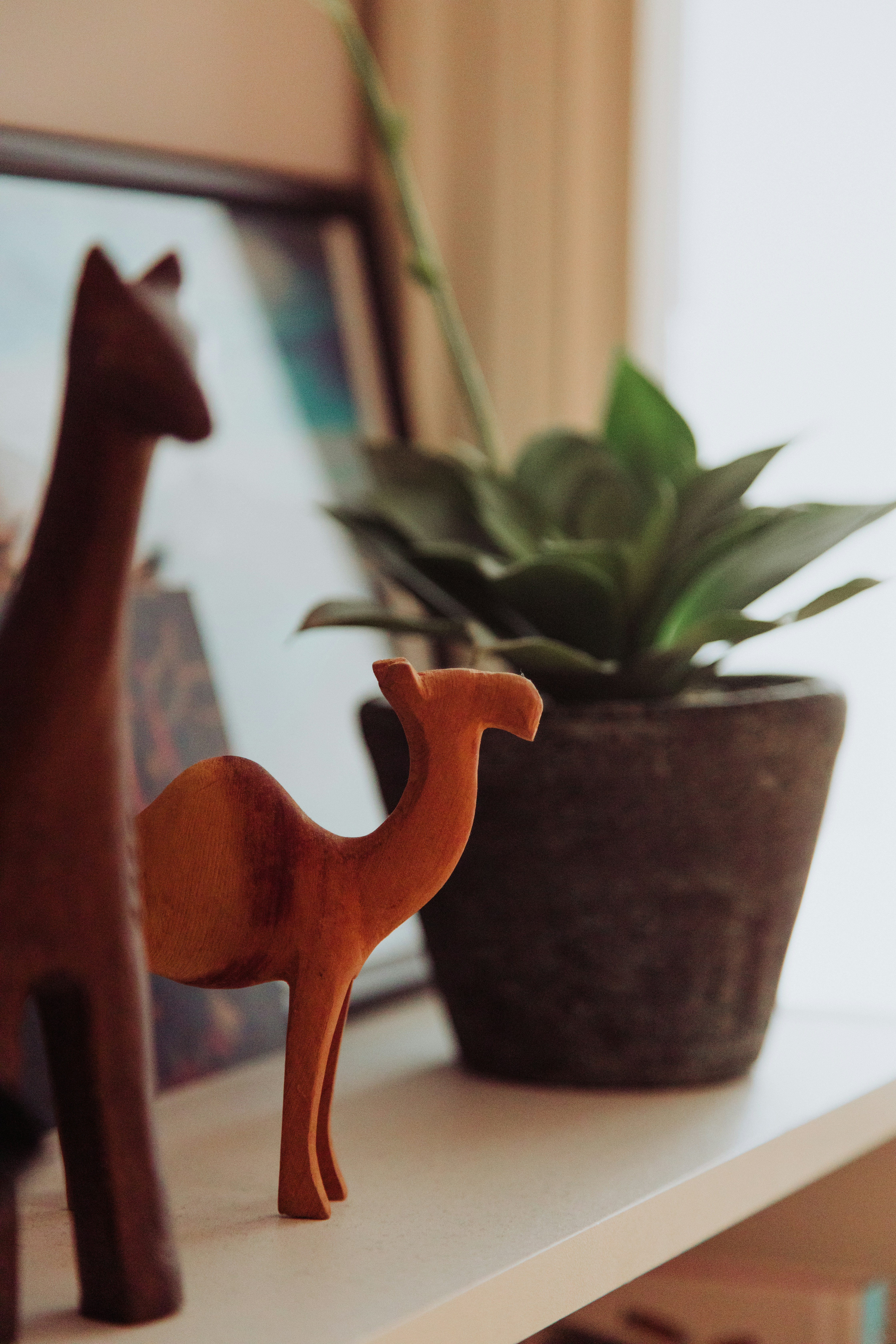 Photo by nicolasjleclercq