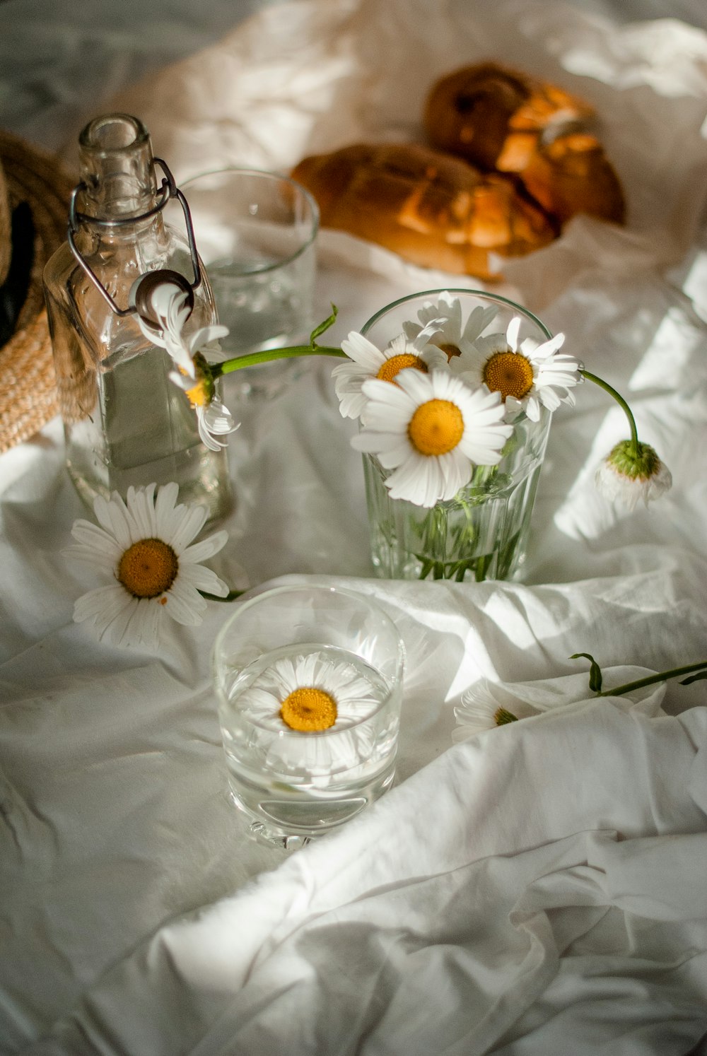 white daisy flowers in clear glass vase