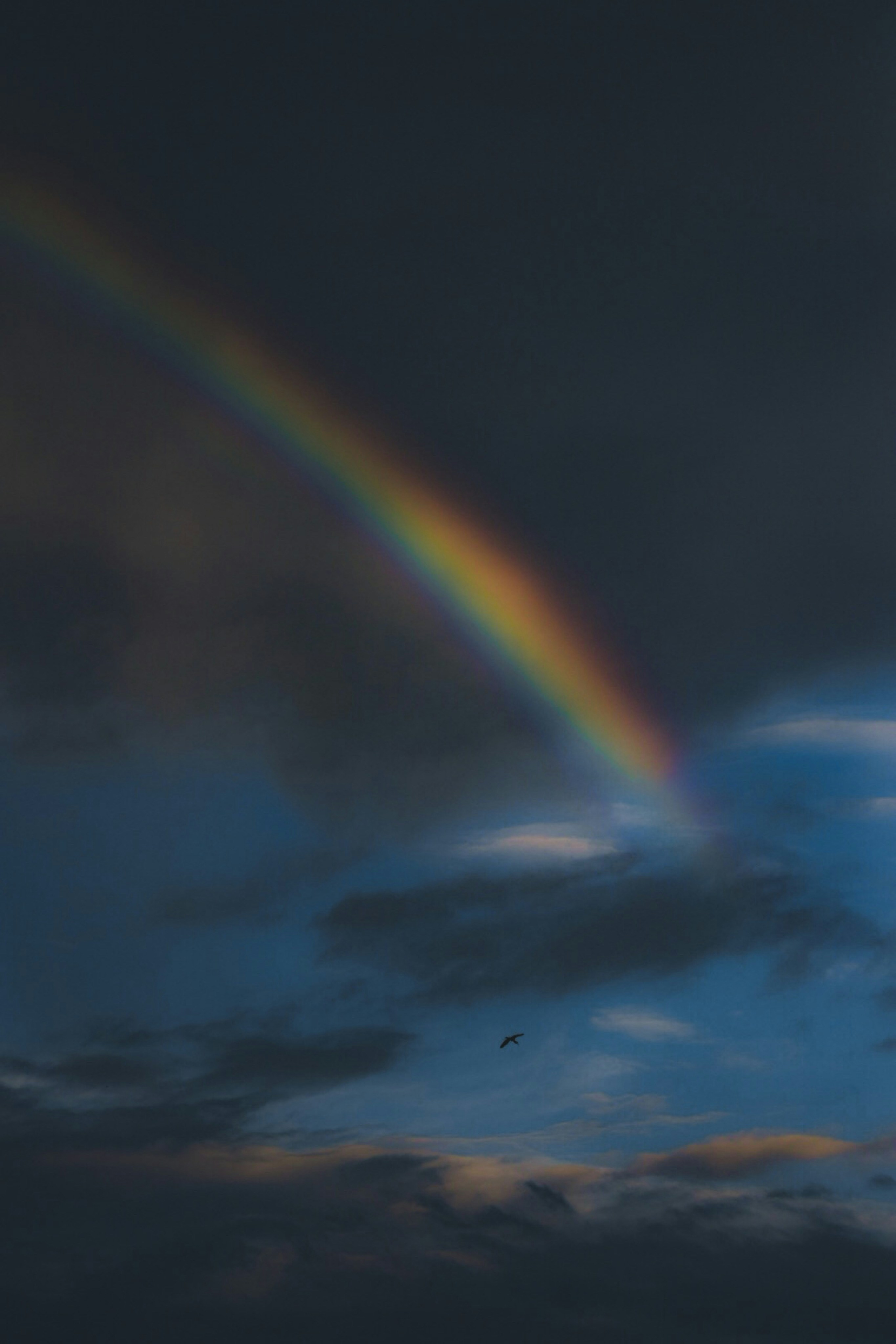 Photo by muizur_syed