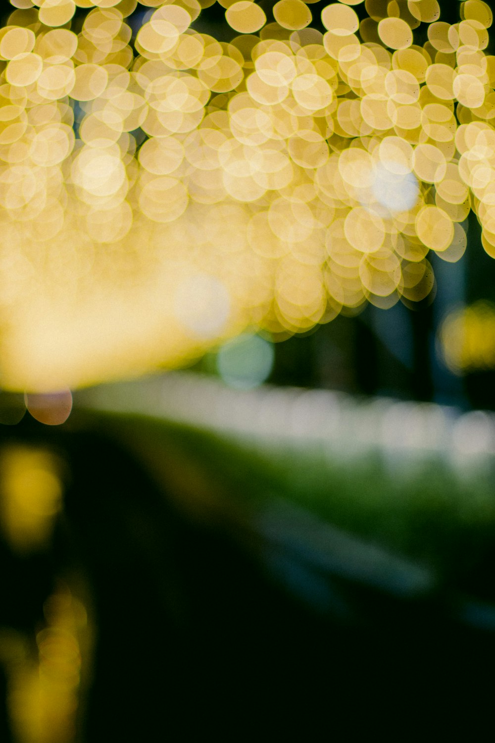 bokeh photography of yellow lights