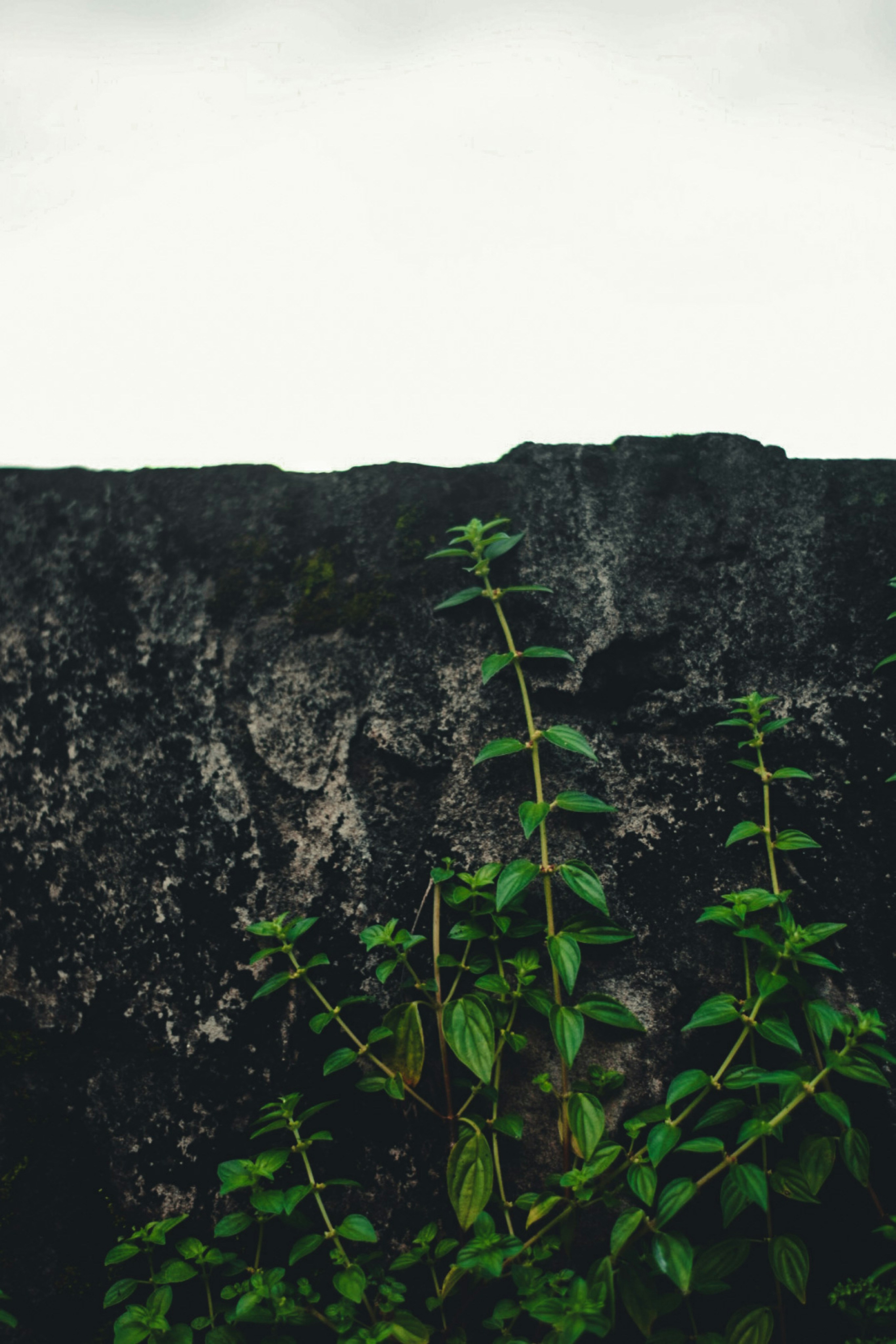 Photo by muizur_syed