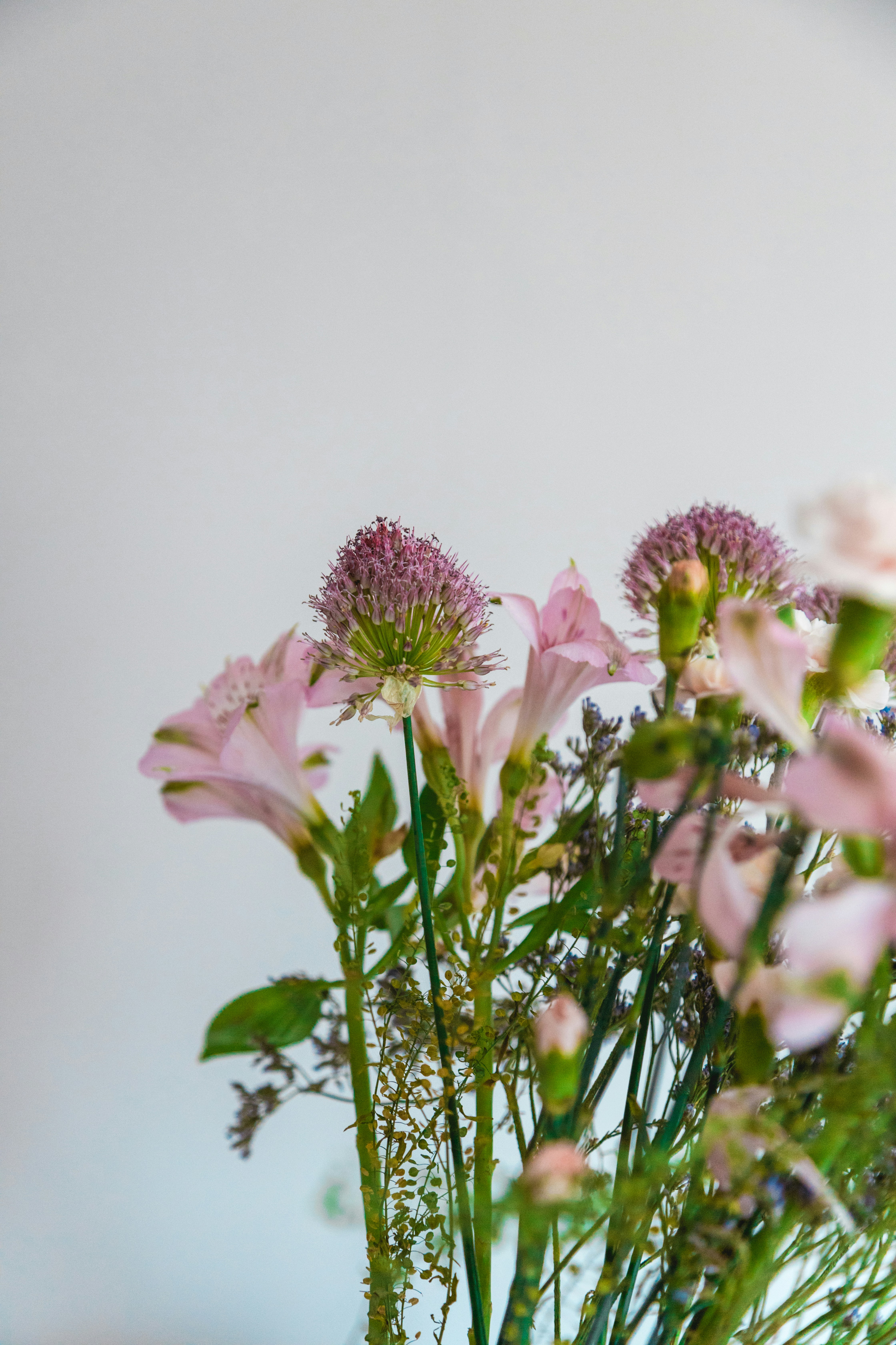 Photo by nicolasjleclercq