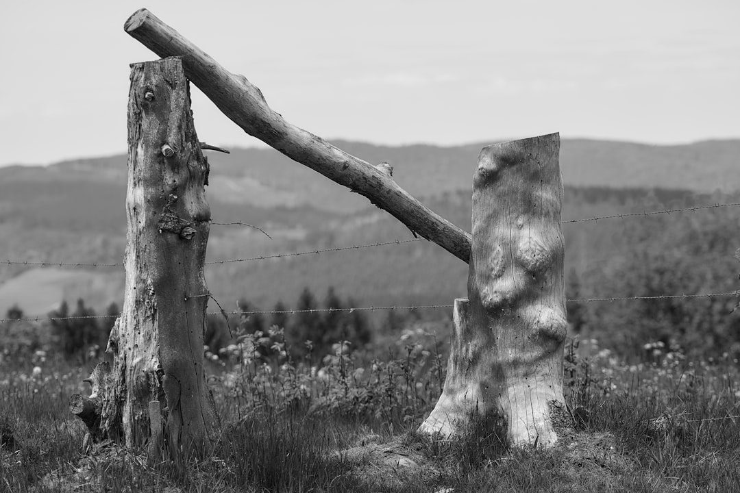 Wildlife photo spot Sauerland Hamm