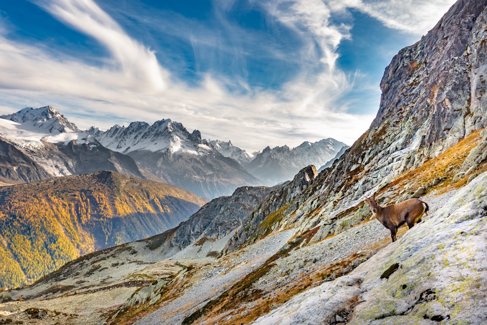 brown and white mountain under blue sky during daytime