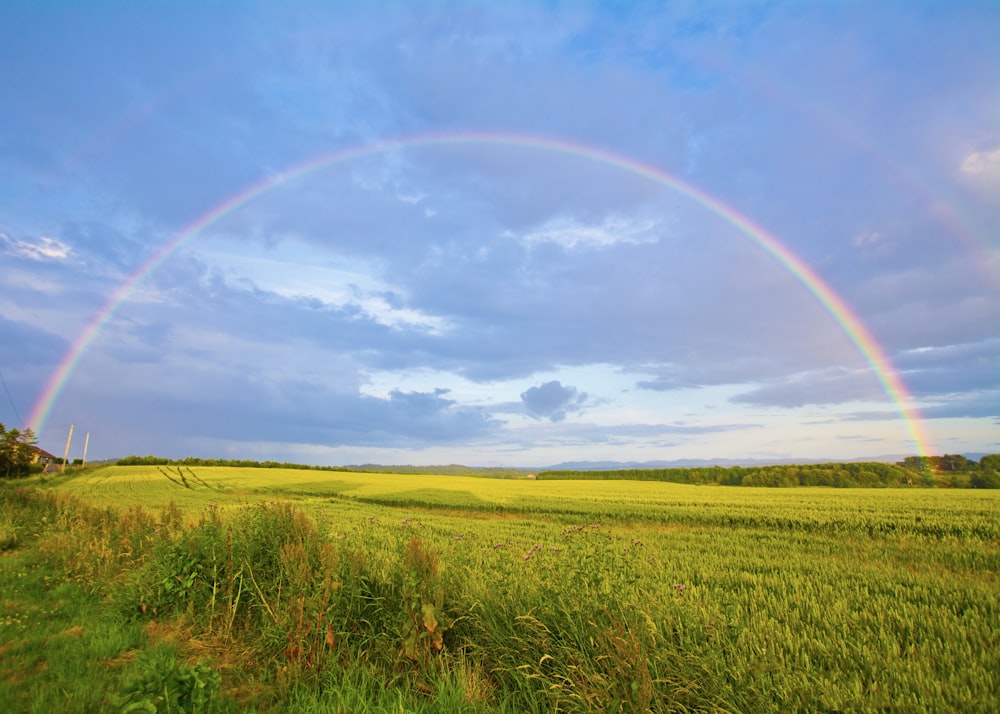 Grünes Grasfeld unter weißen Wolken und Regenbogen