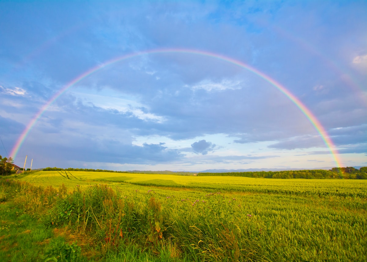 Regenbogen: Ein Wunder der Natur