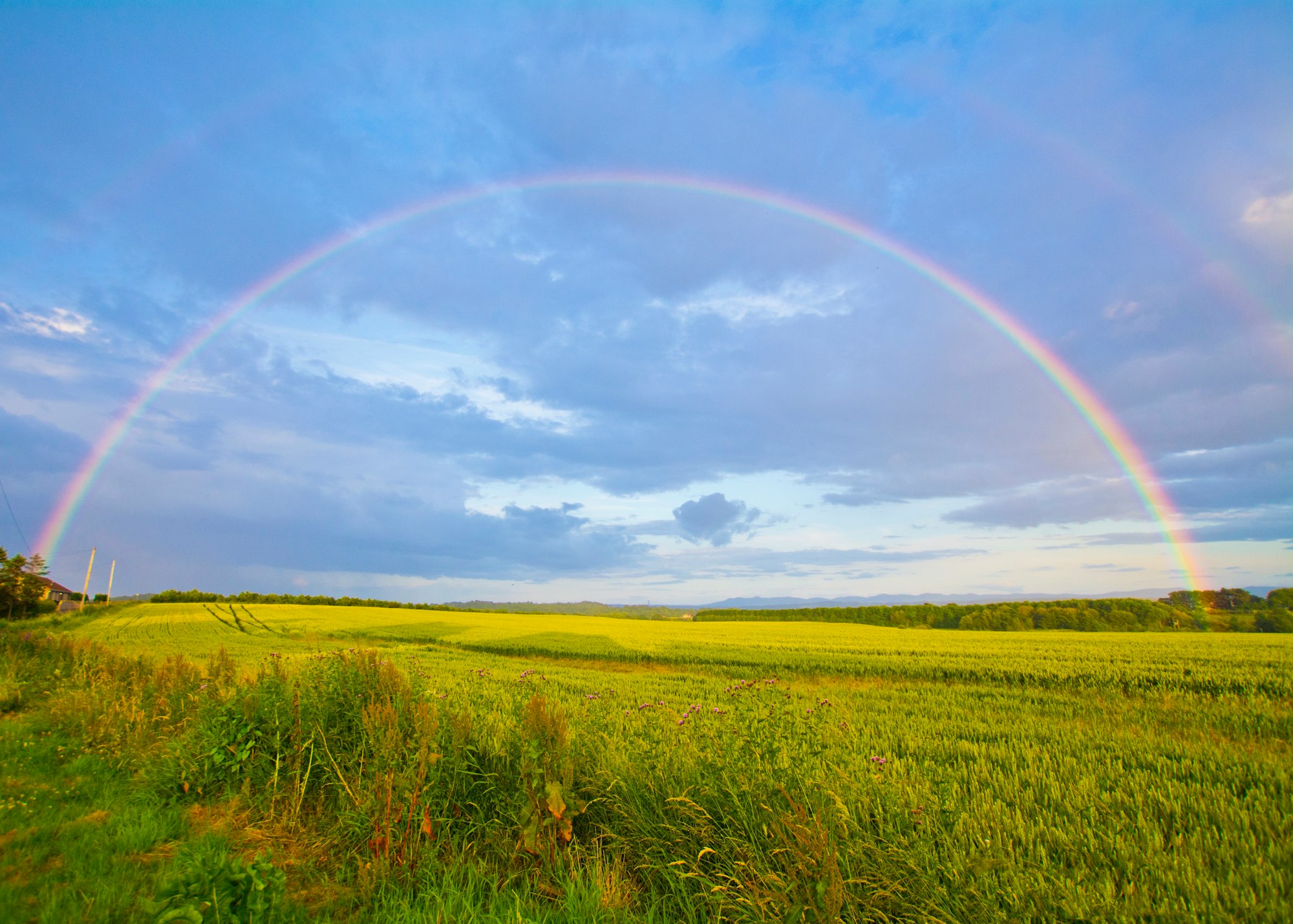 Somewhere Over The Rainbow-What A Wonderful World (Israel Kamakawiwoʻole)