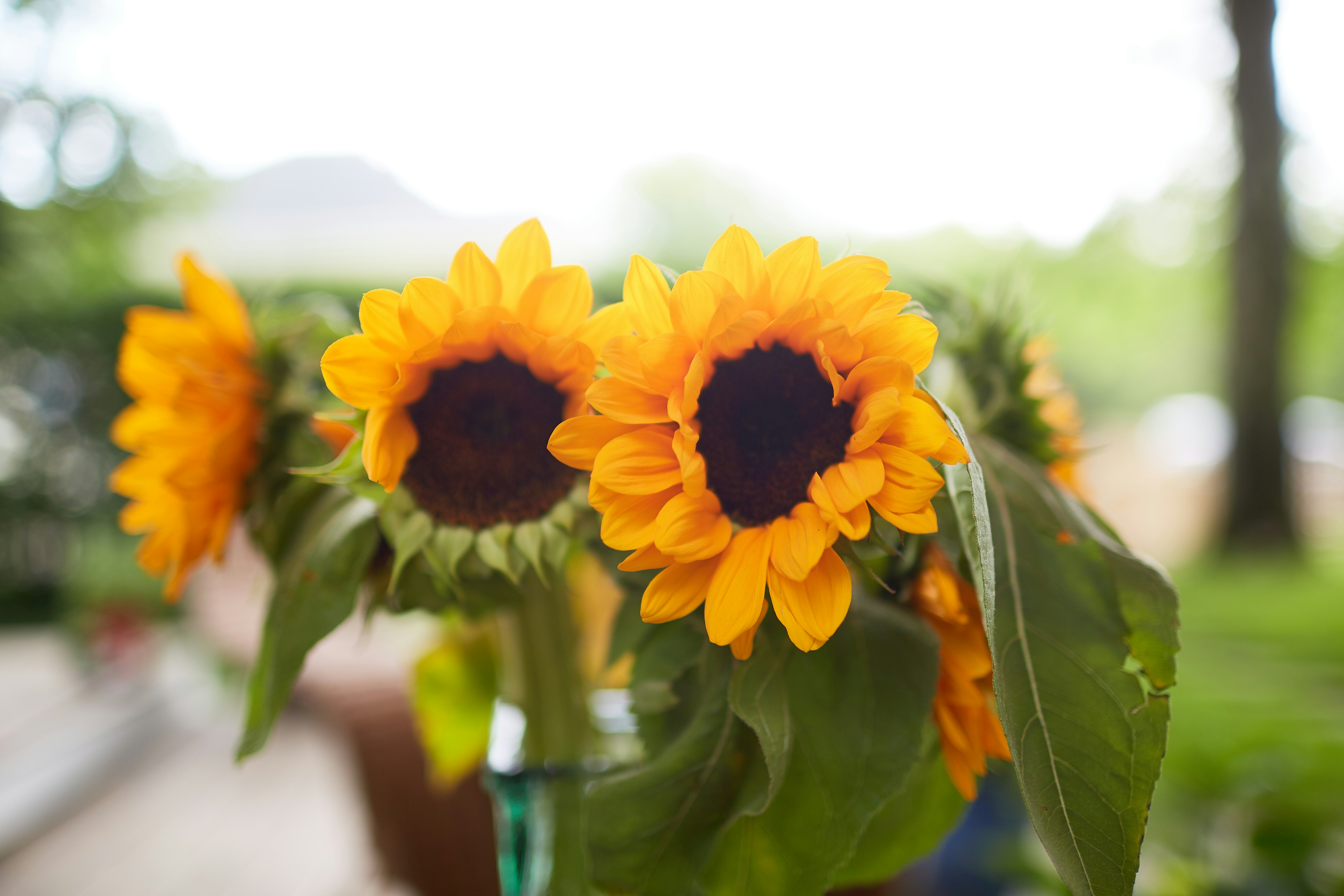 Photo by davidtoddmccarty