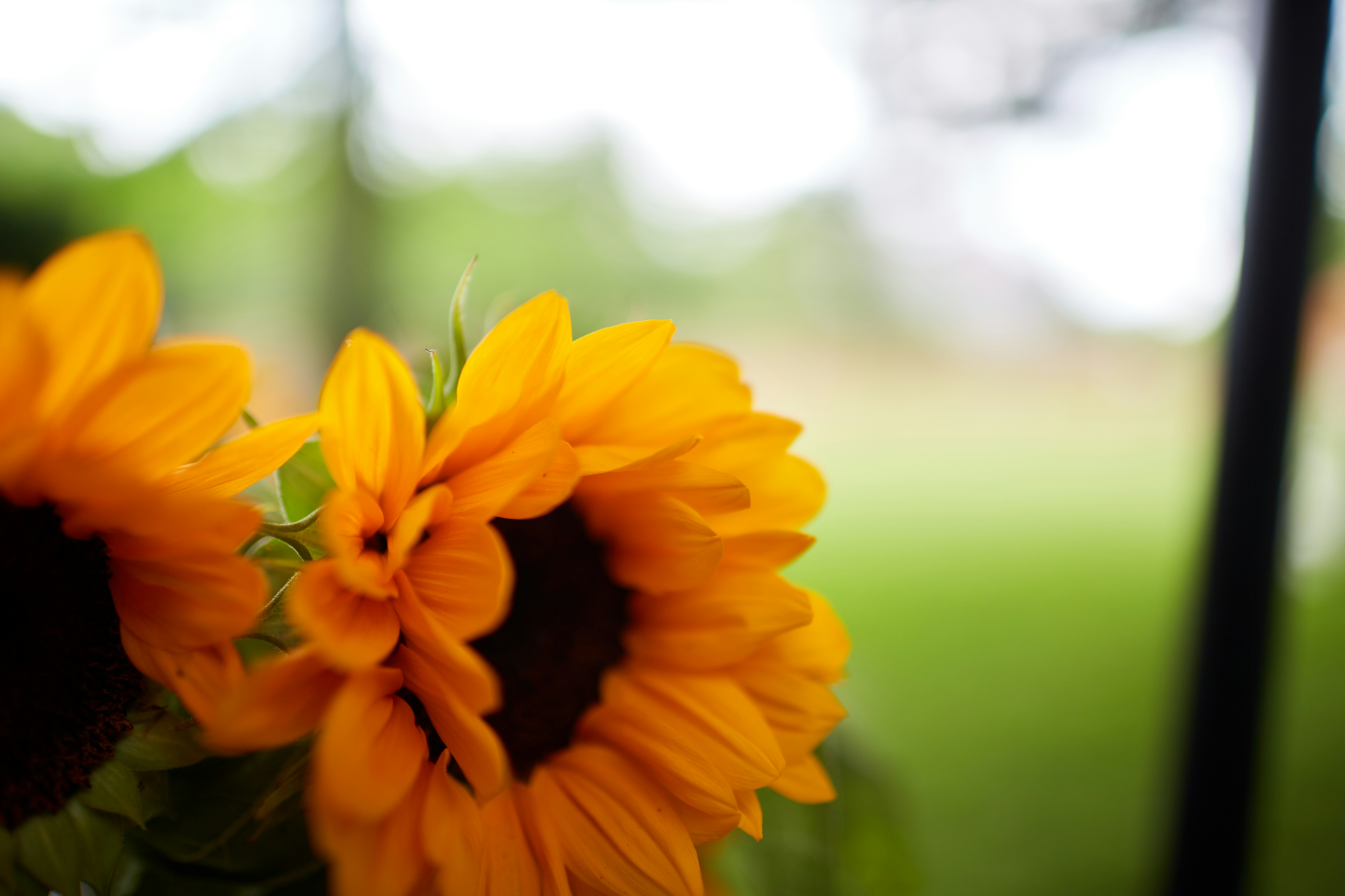 Photo by davidtoddmccarty