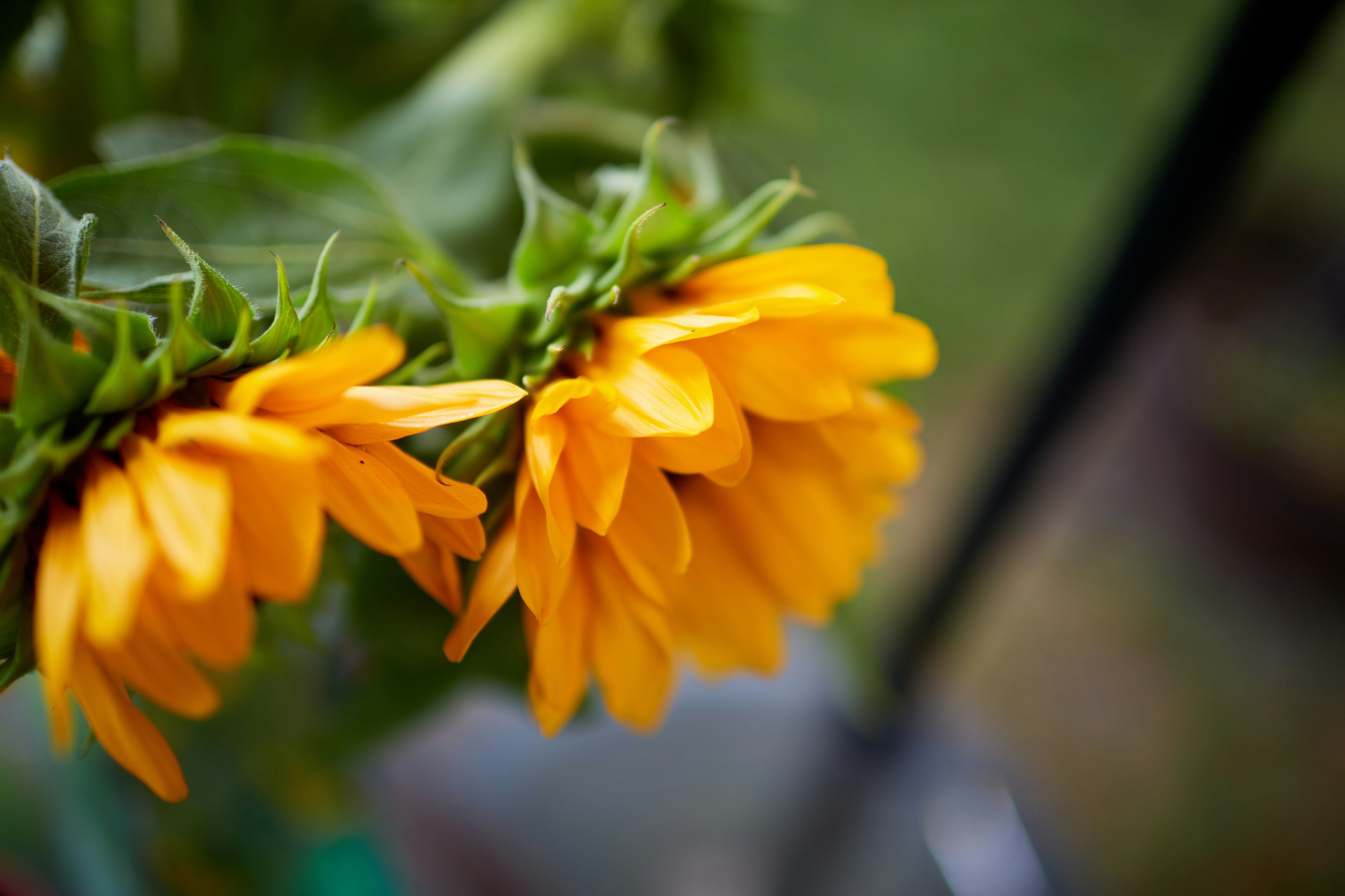 Photo by davidtoddmccarty