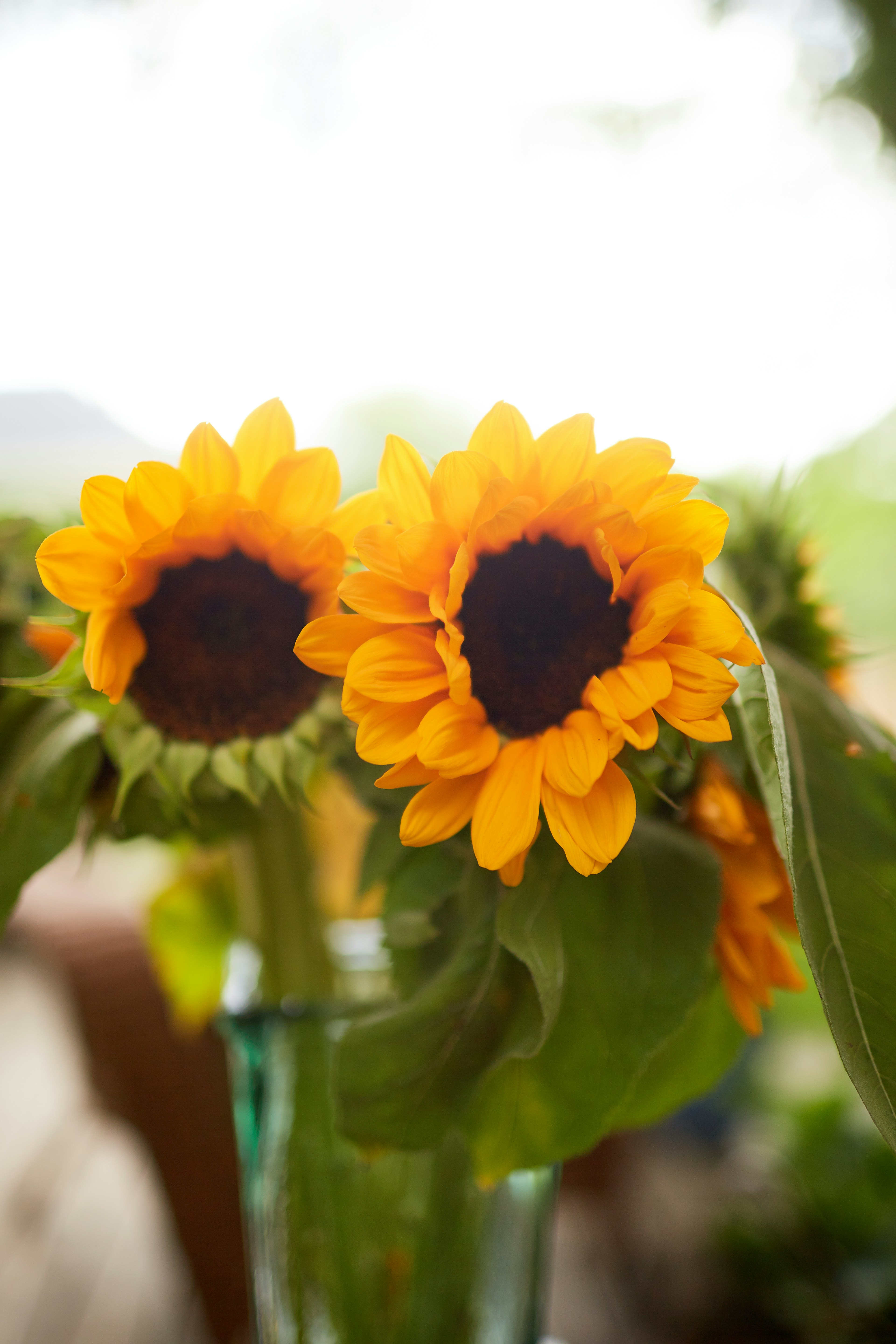 Photo by davidtoddmccarty